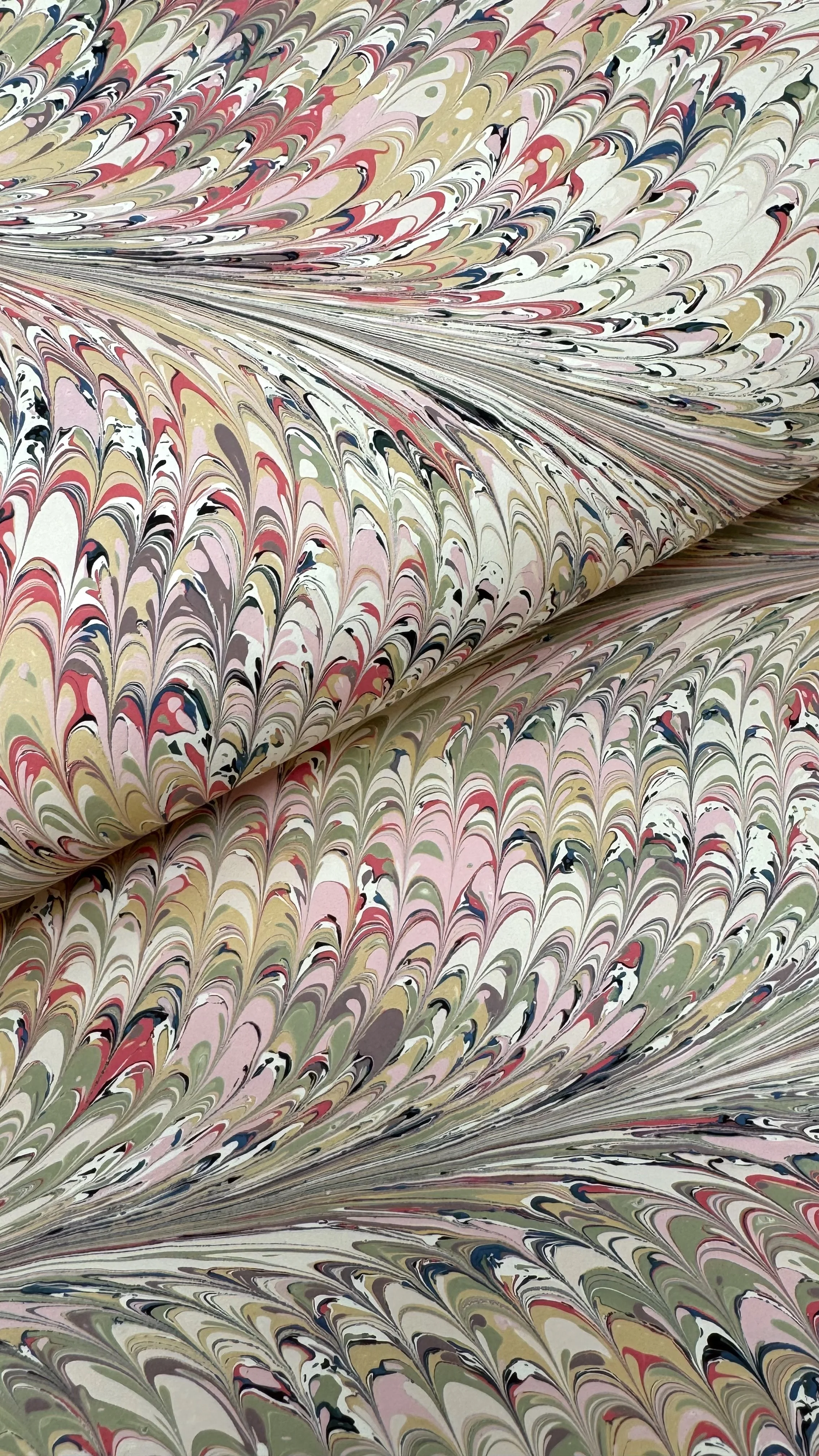 Feathered Non-Pariel