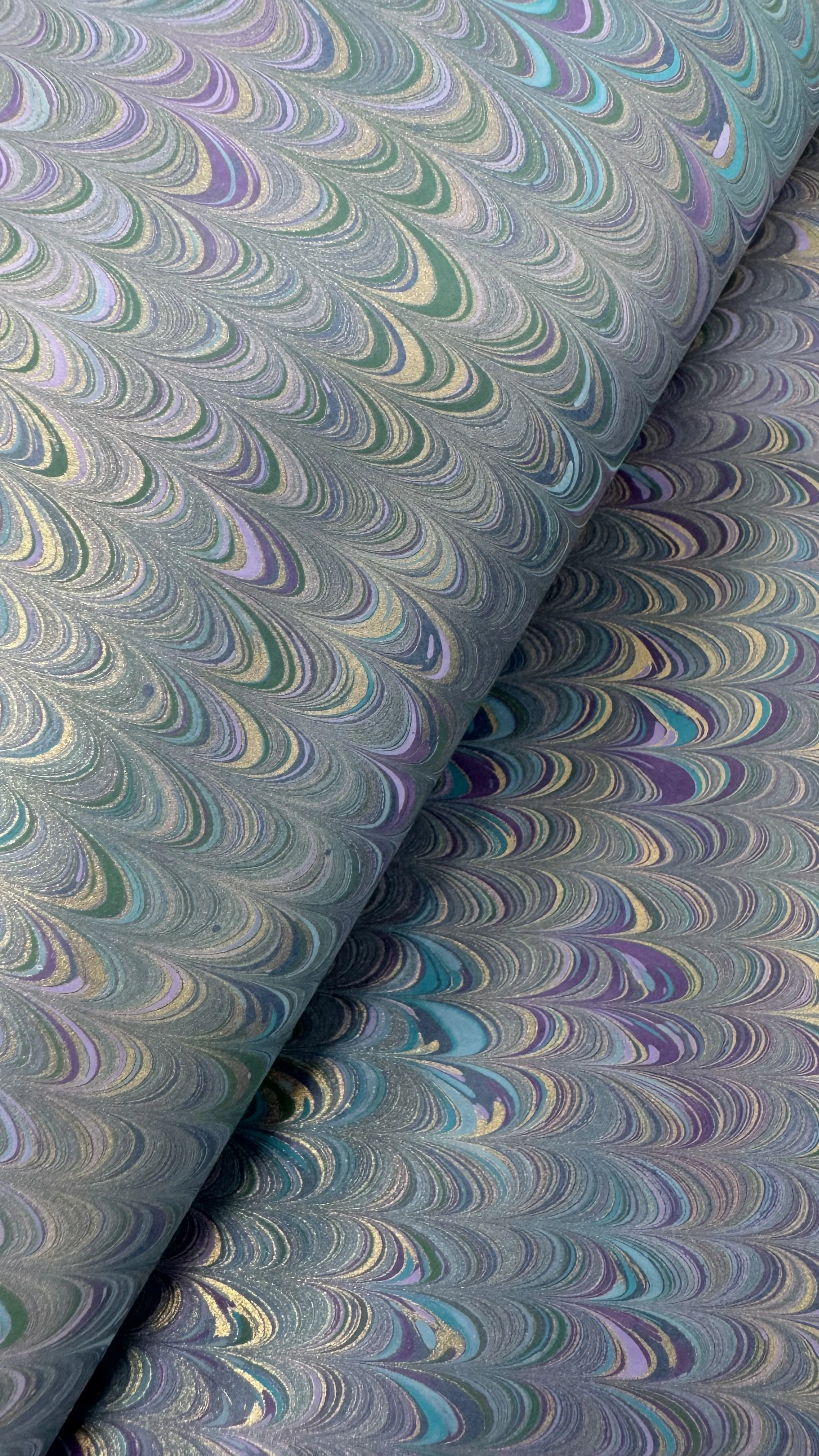 IMG_2833.jpeg
