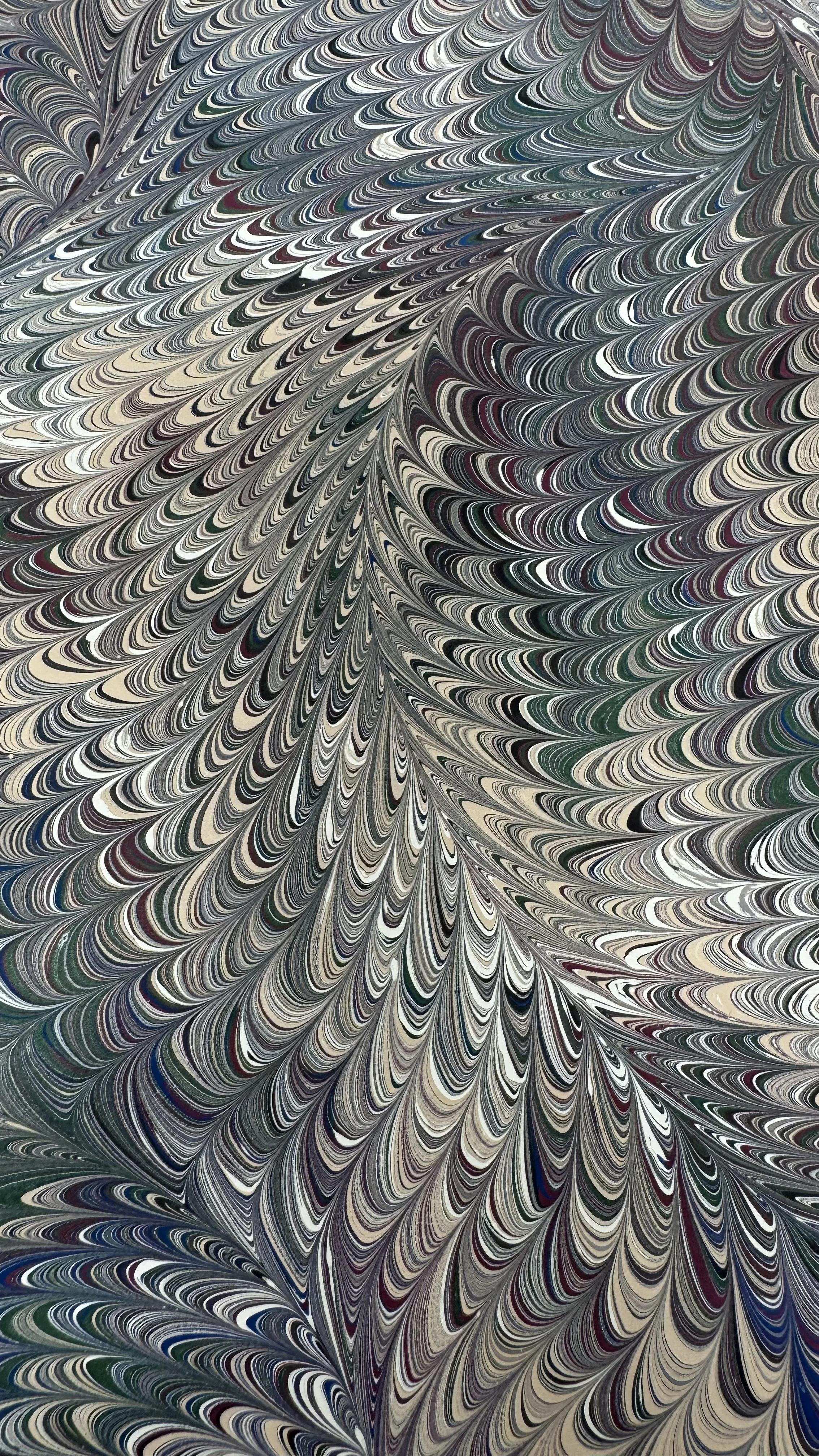 IMG_2975.jpeg