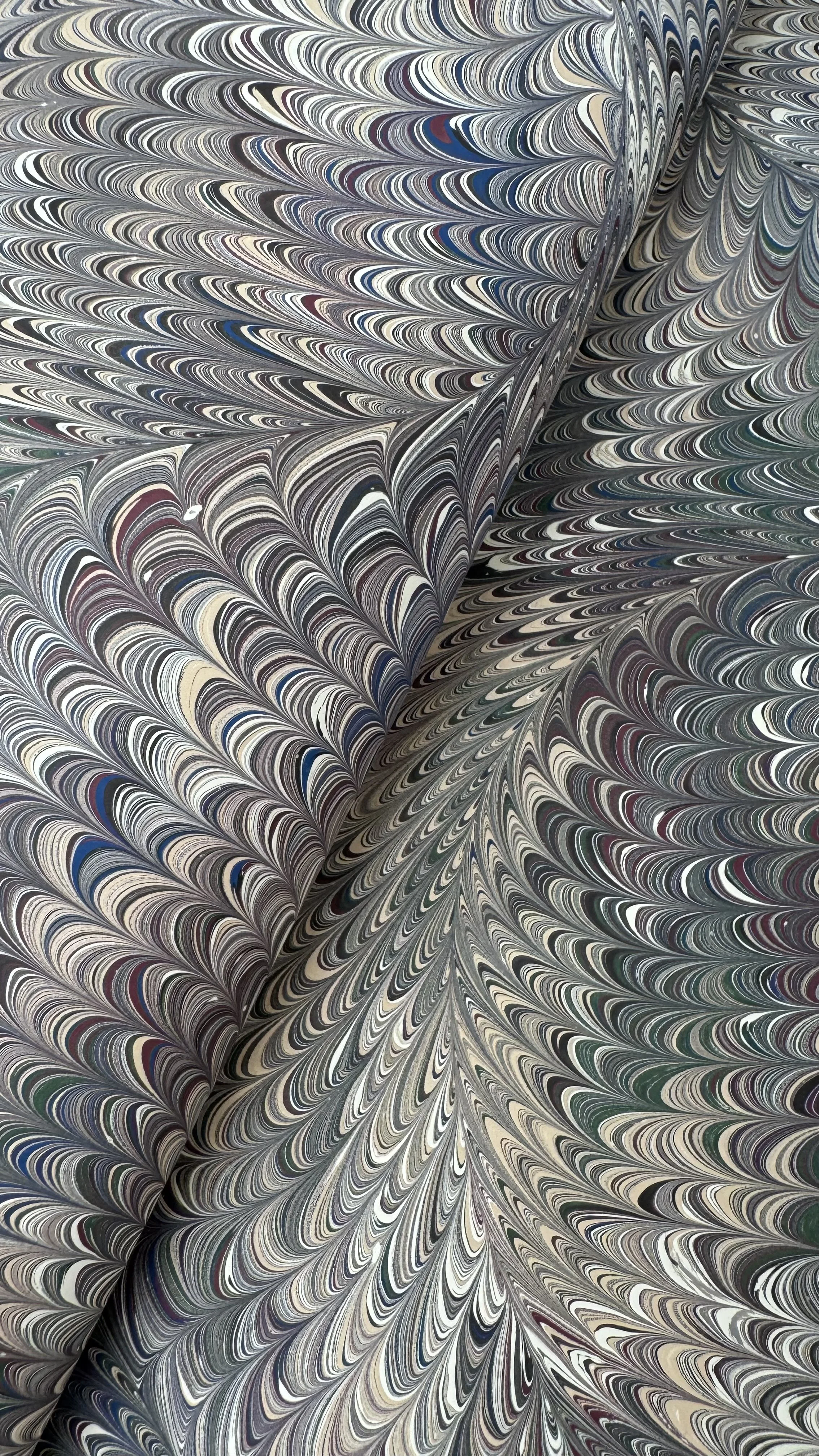IMG_2978.jpeg