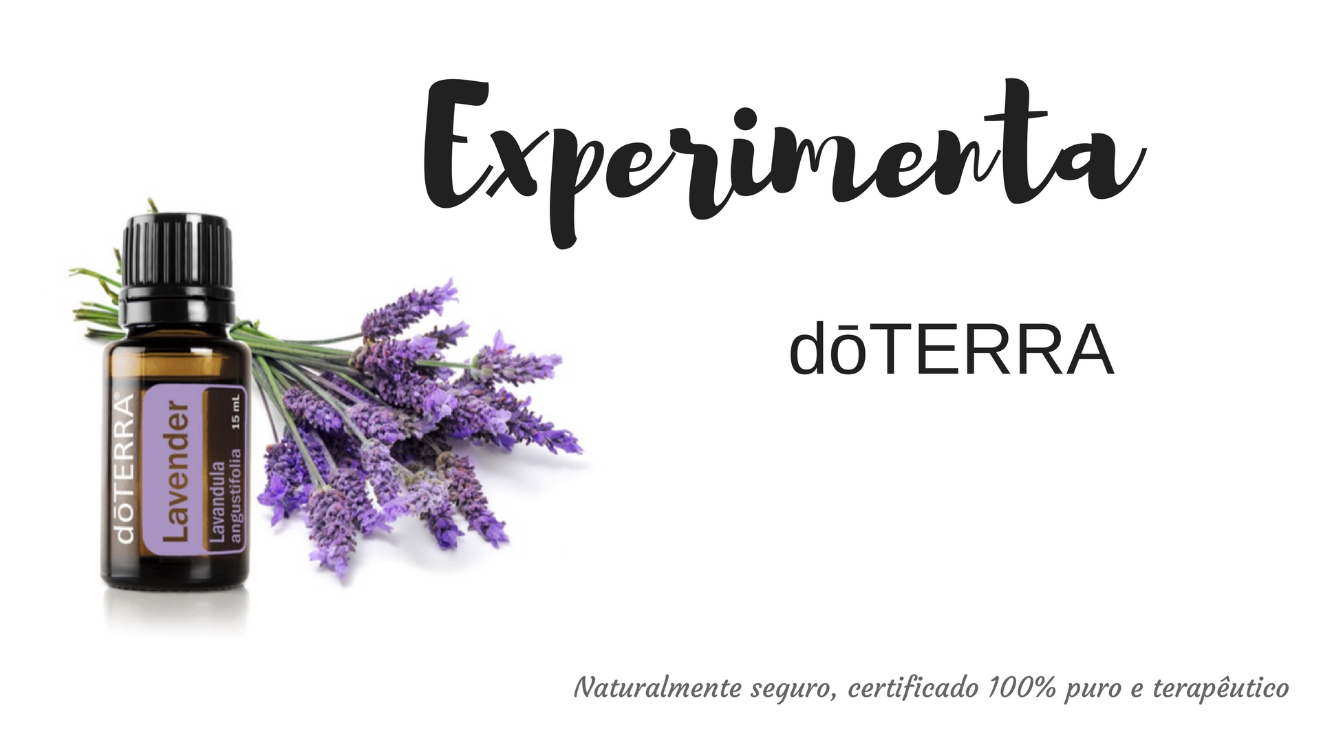 Experimenta doterra.png