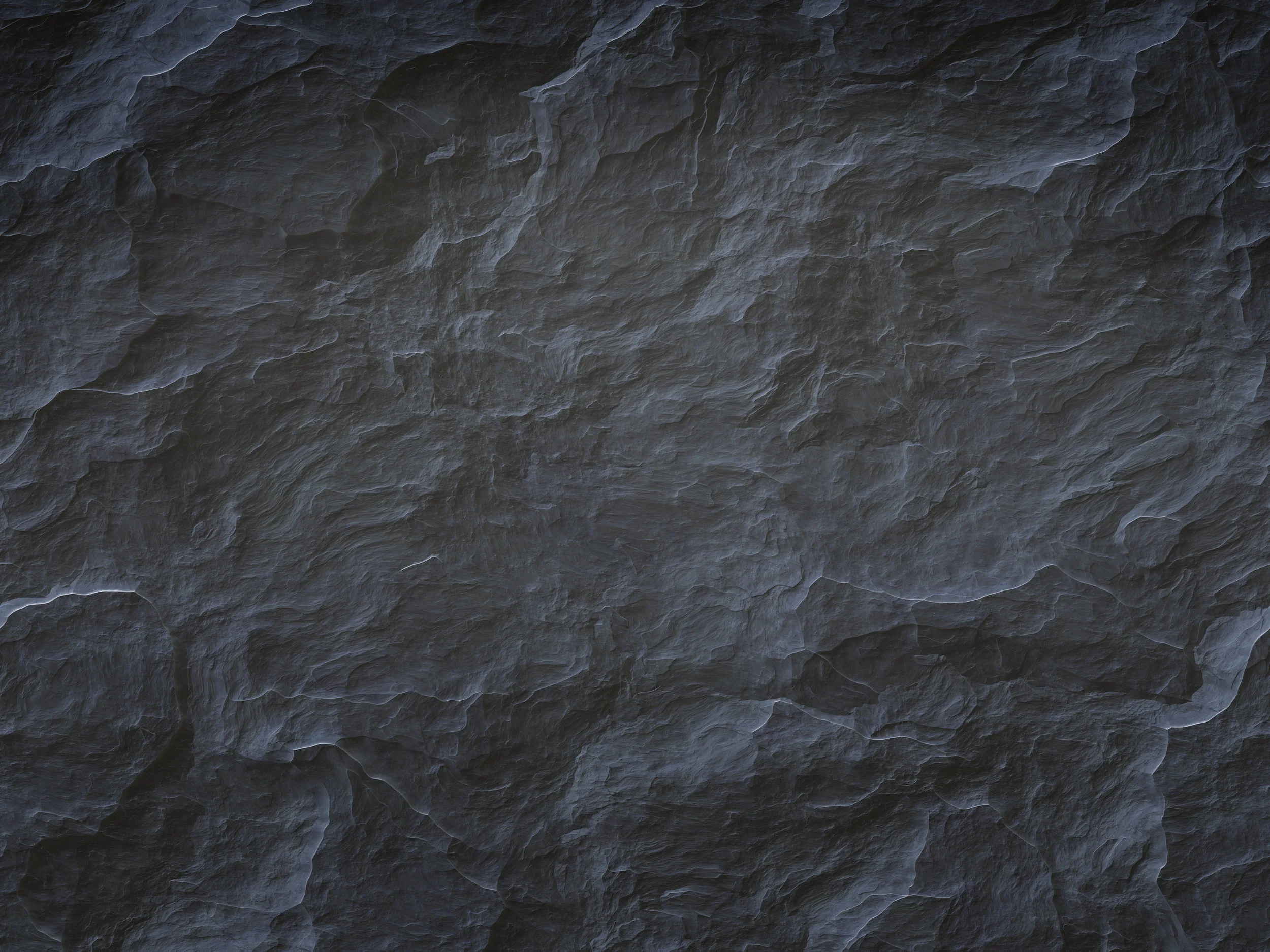 AdobeStock_45509991.jpeg