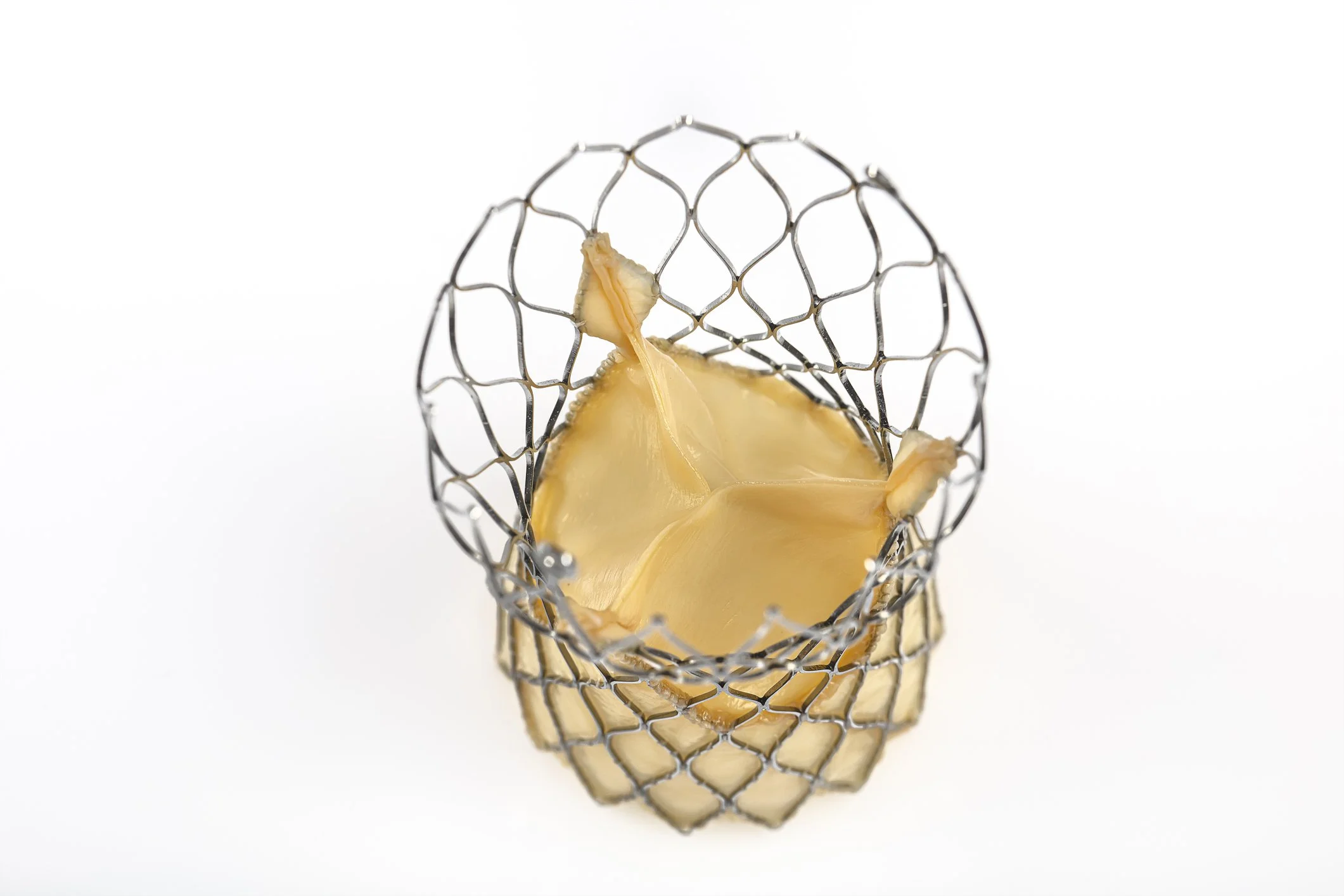 transcatheter aortic valve