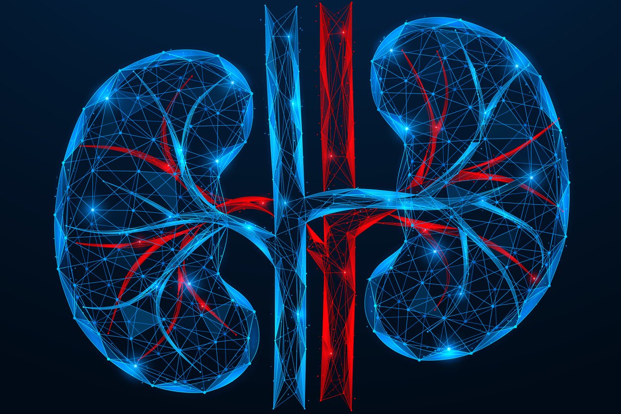 Renal Denervation for High Blood Pressure: What Gulf Coast Patients Need to Know