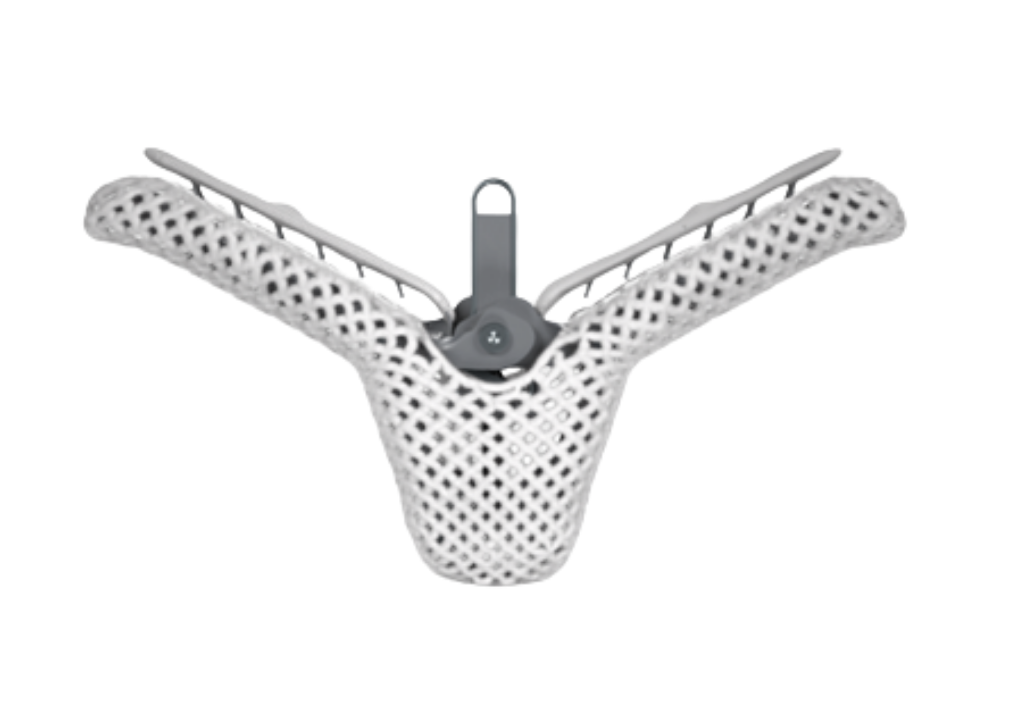 mitral valve replacement