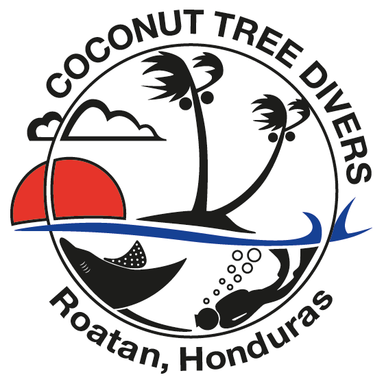 Coconut Tree Divers | PADI Scuba diving in Roatan, Honduras