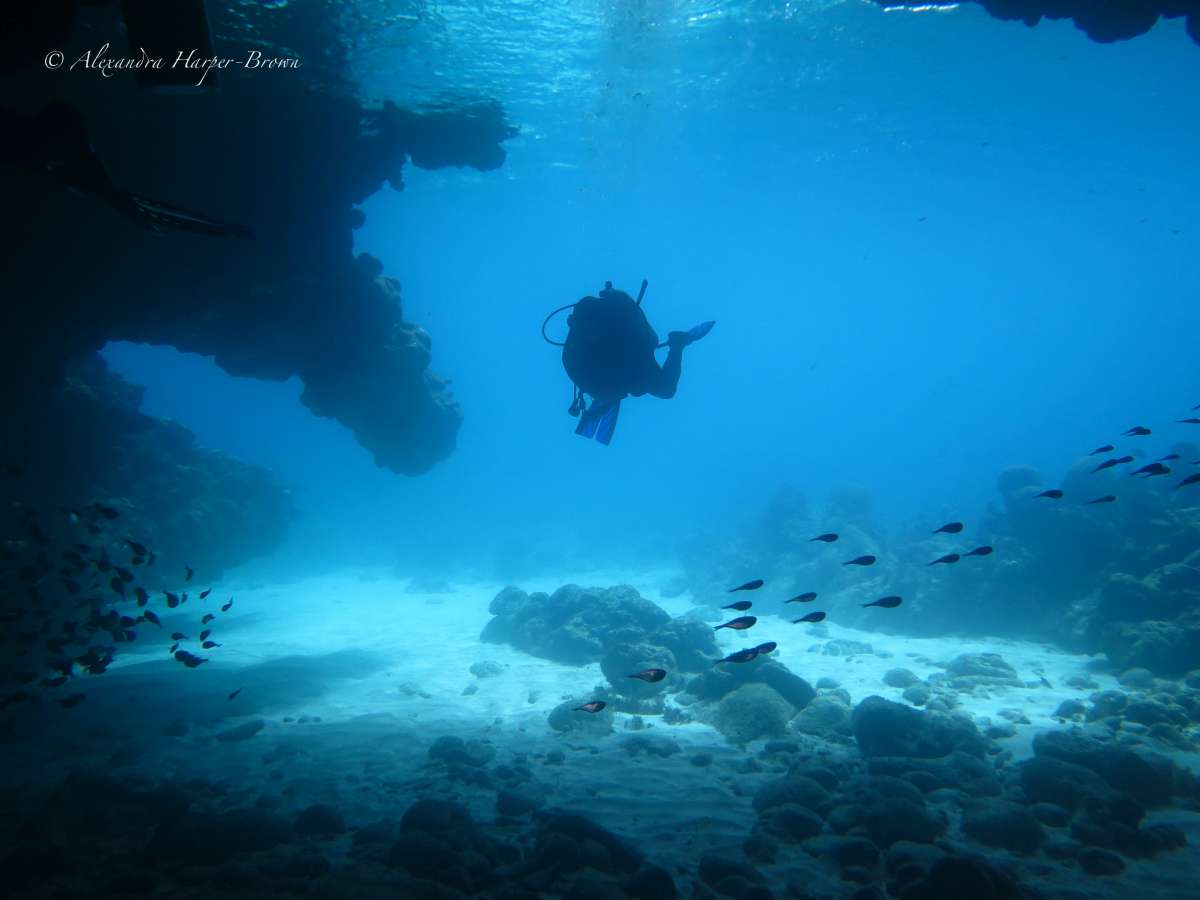 Cave diving (1 of 1).jpg