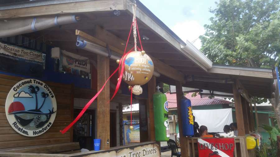 And so flies the Golden Bouy for a year with Coconut Tree Divers.&nbsp;