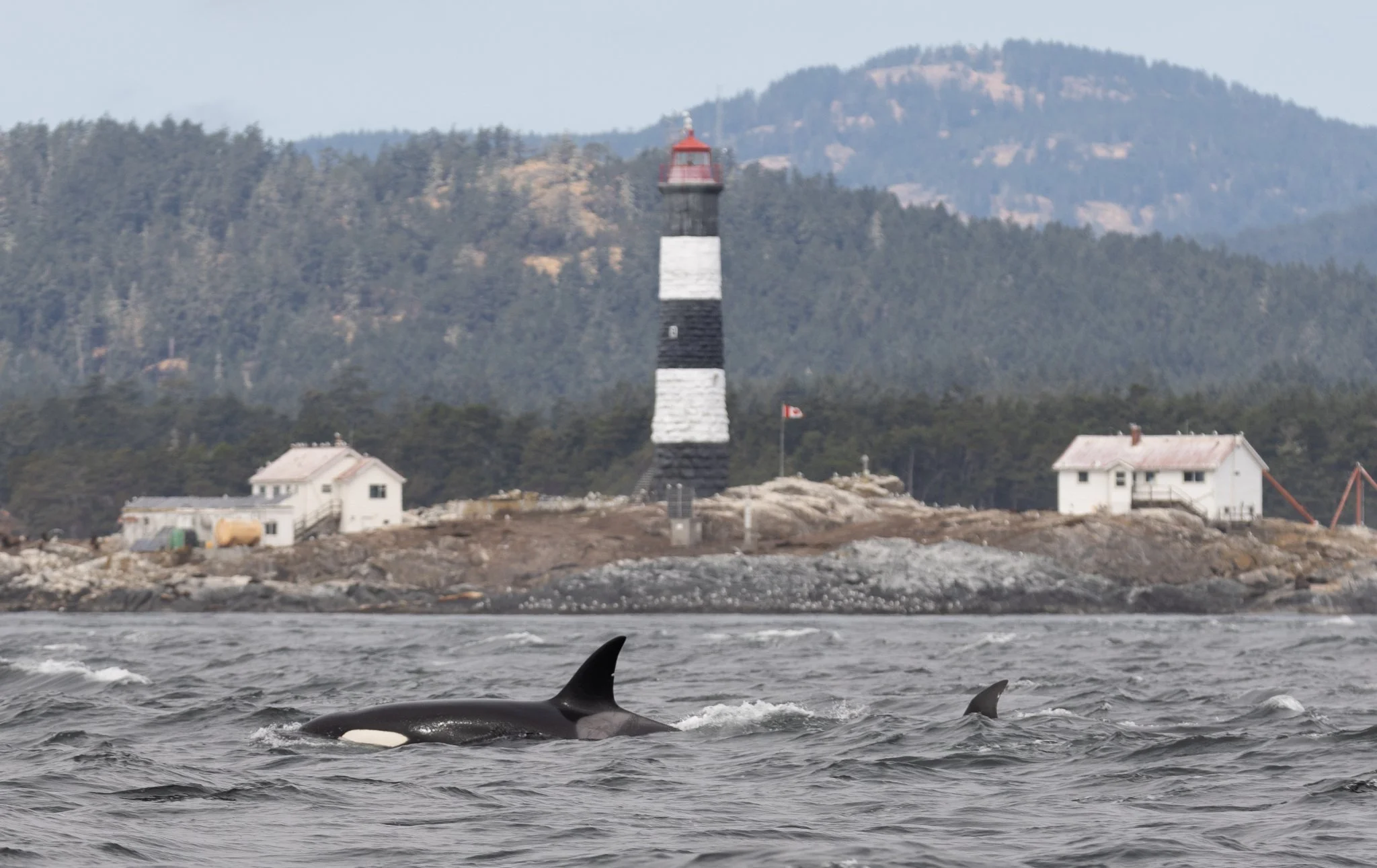 Race Rocks Ecological Reserve