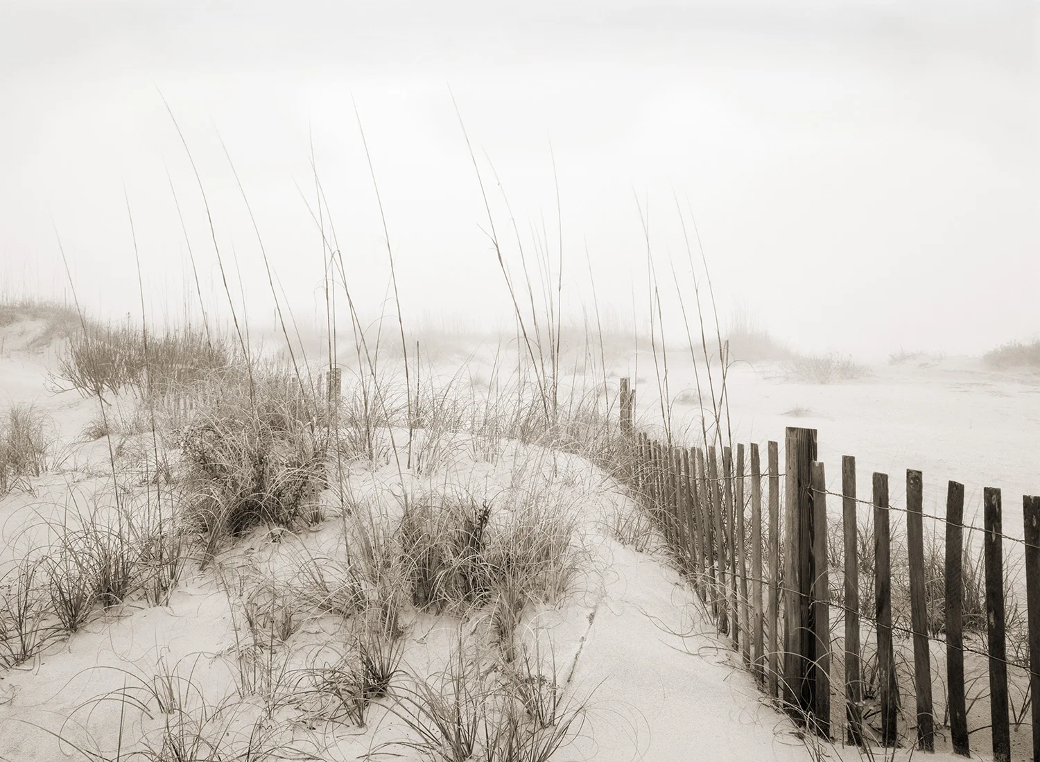 foggy-morn.jpg