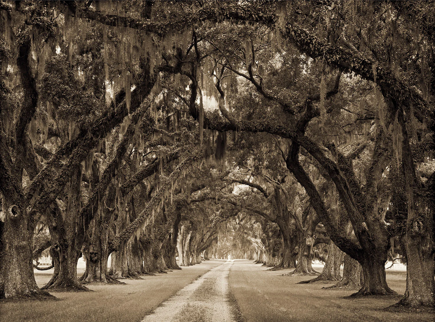 passage_revisit.jpg