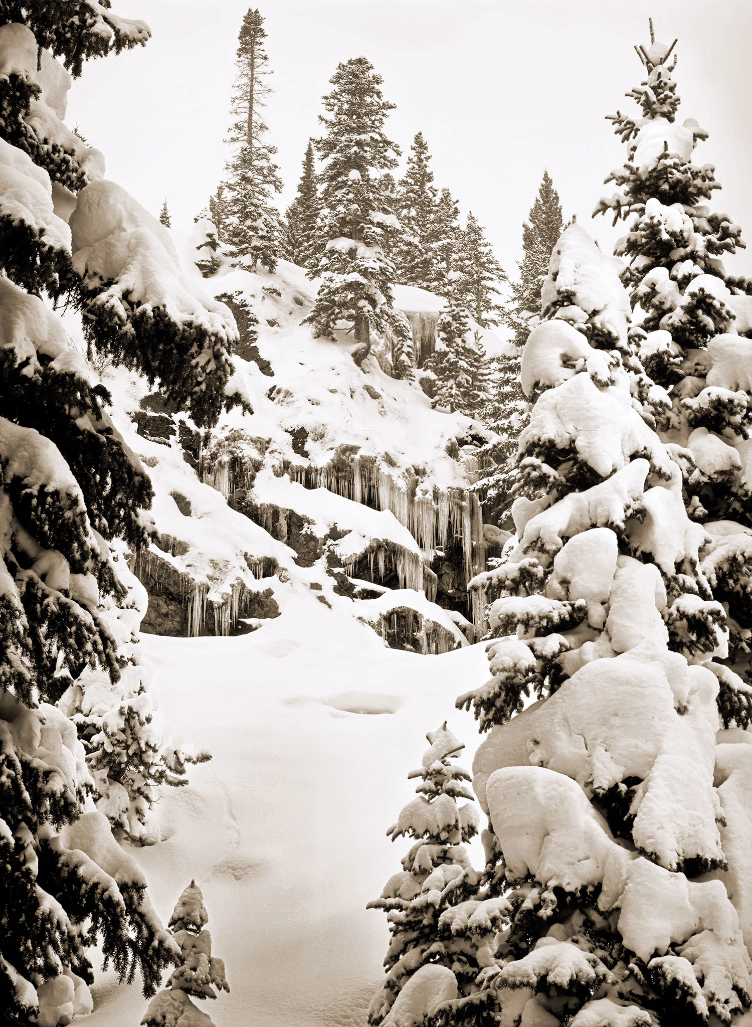 backcountry-snow.jpg