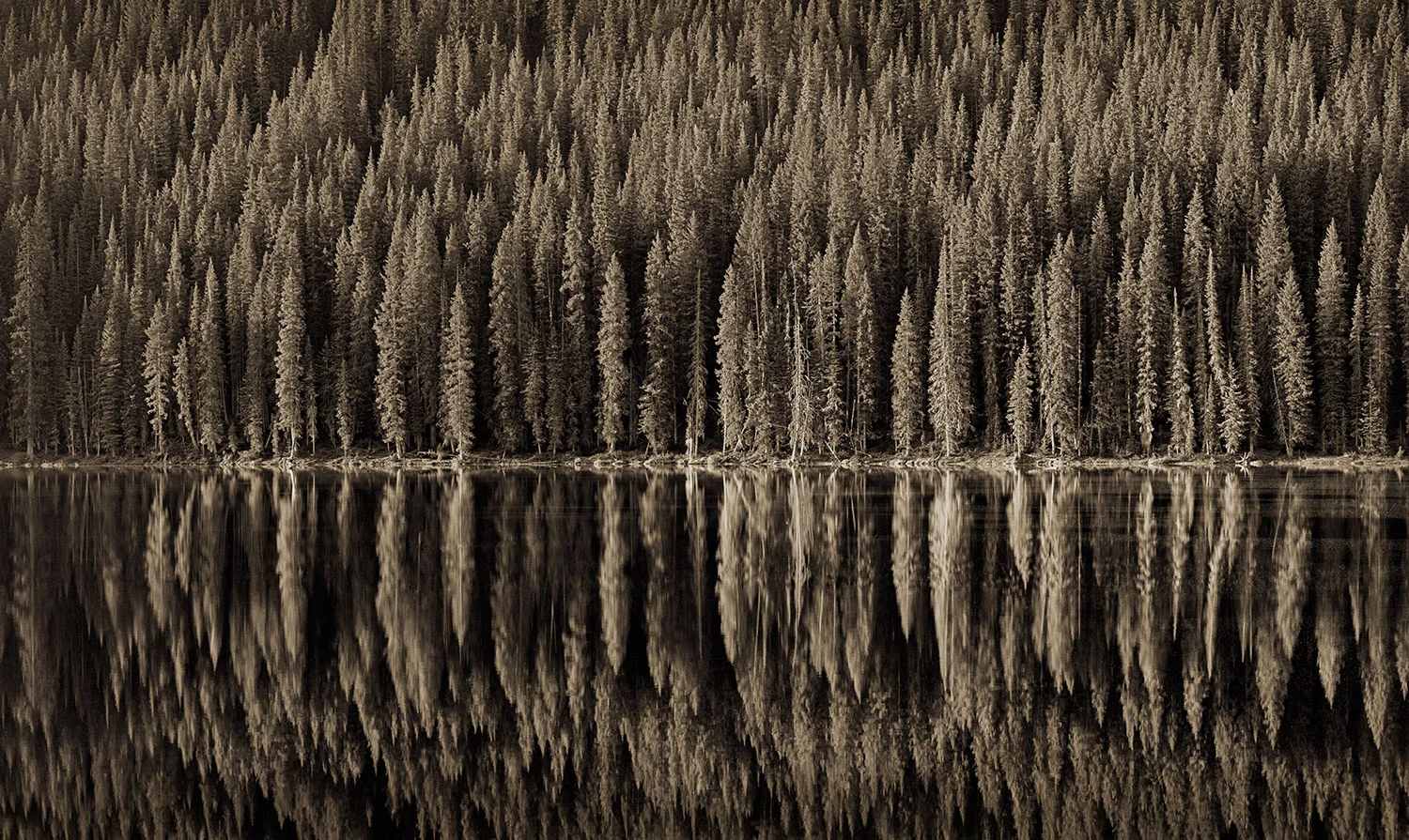 reflections.jpg