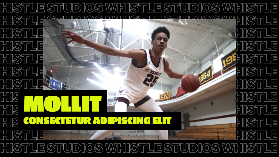 Max Portfolio Copy Whistle Studios Deck.png