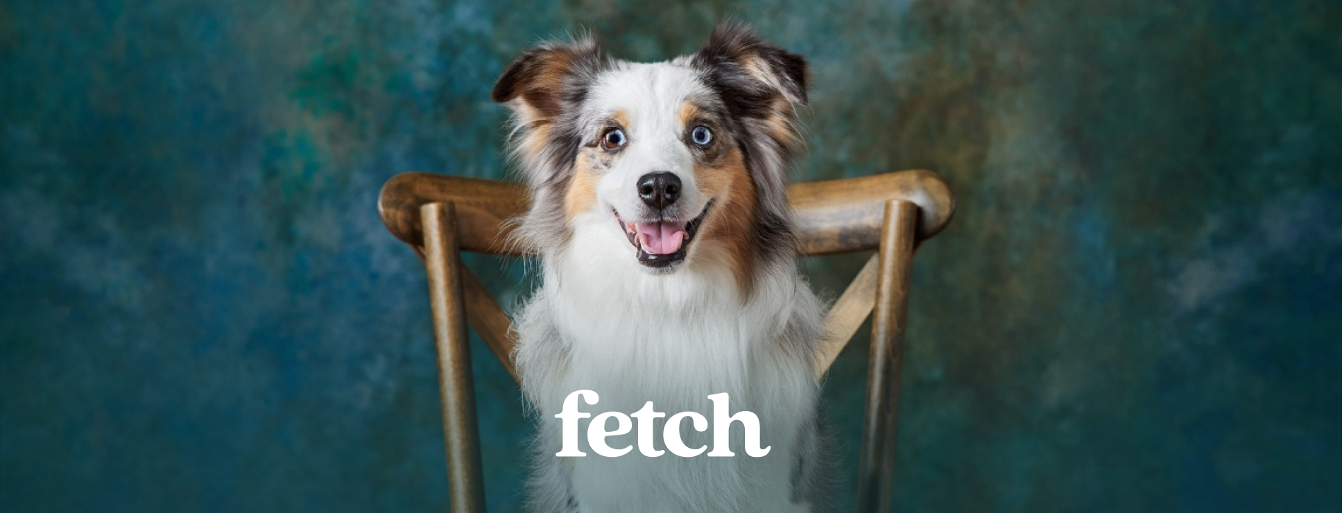 Fetch Web Design