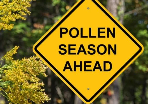 Are you having trouble with your contacts because of allergies?