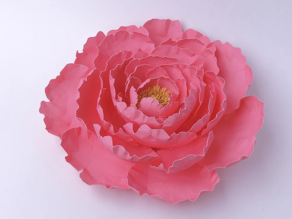 peony-8.jpg