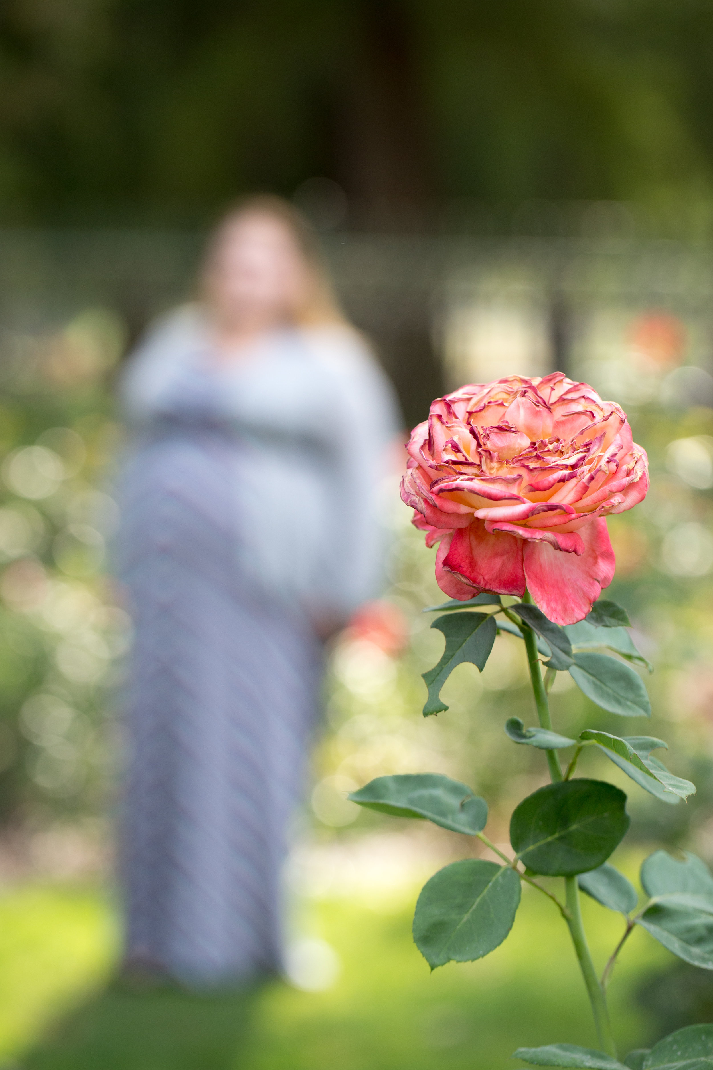 ML_Maternity-5.jpg