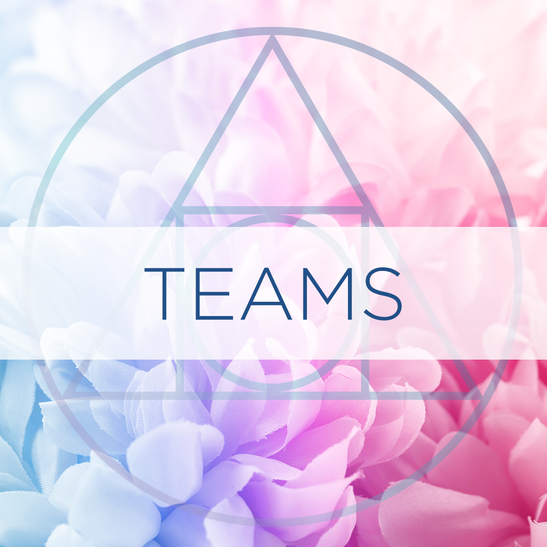 TEAMS.png