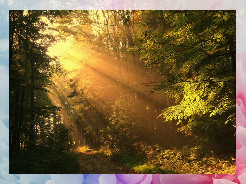 Sunrays+image 2.png