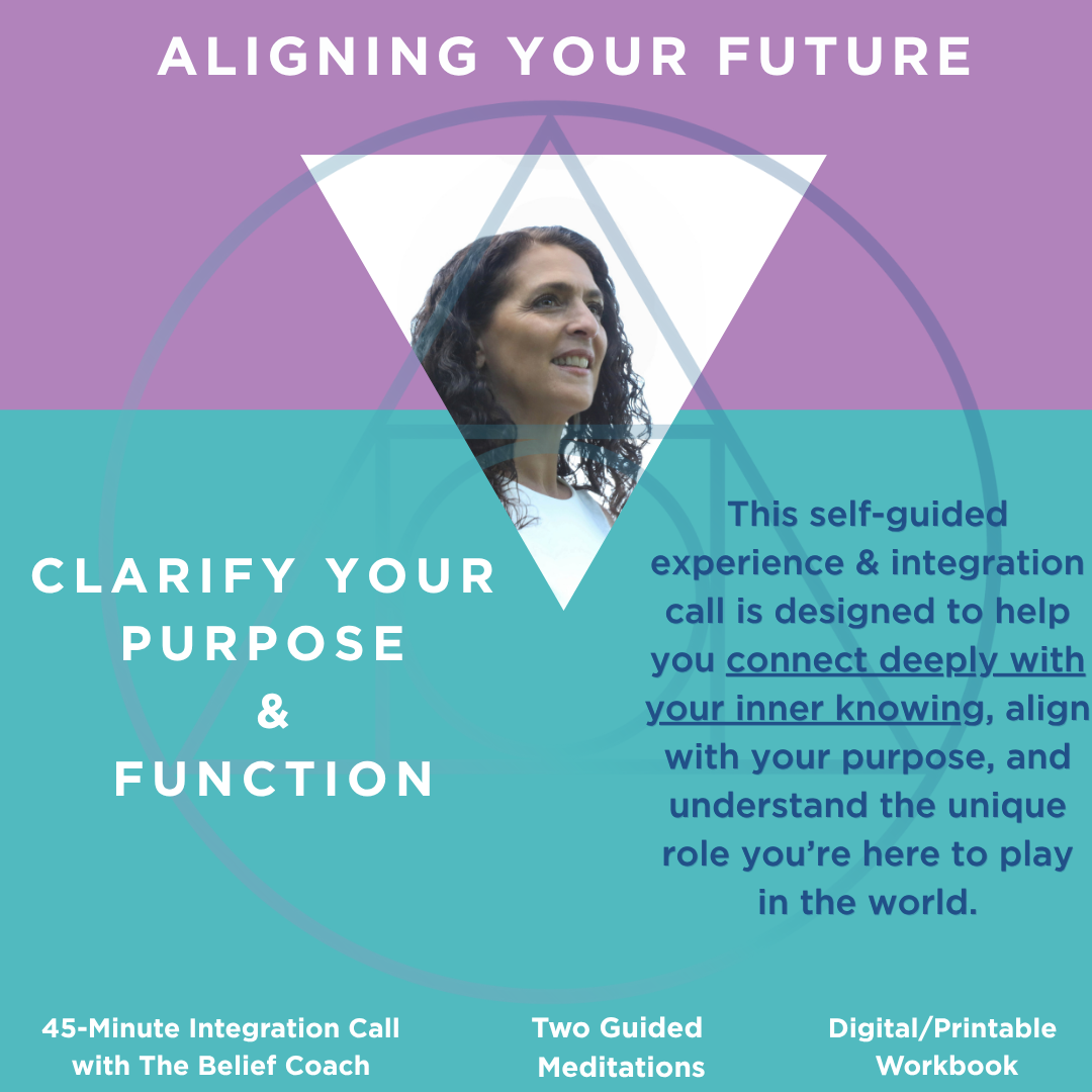 Aligning Your Future Purpose & Function Bundle Store Image.png