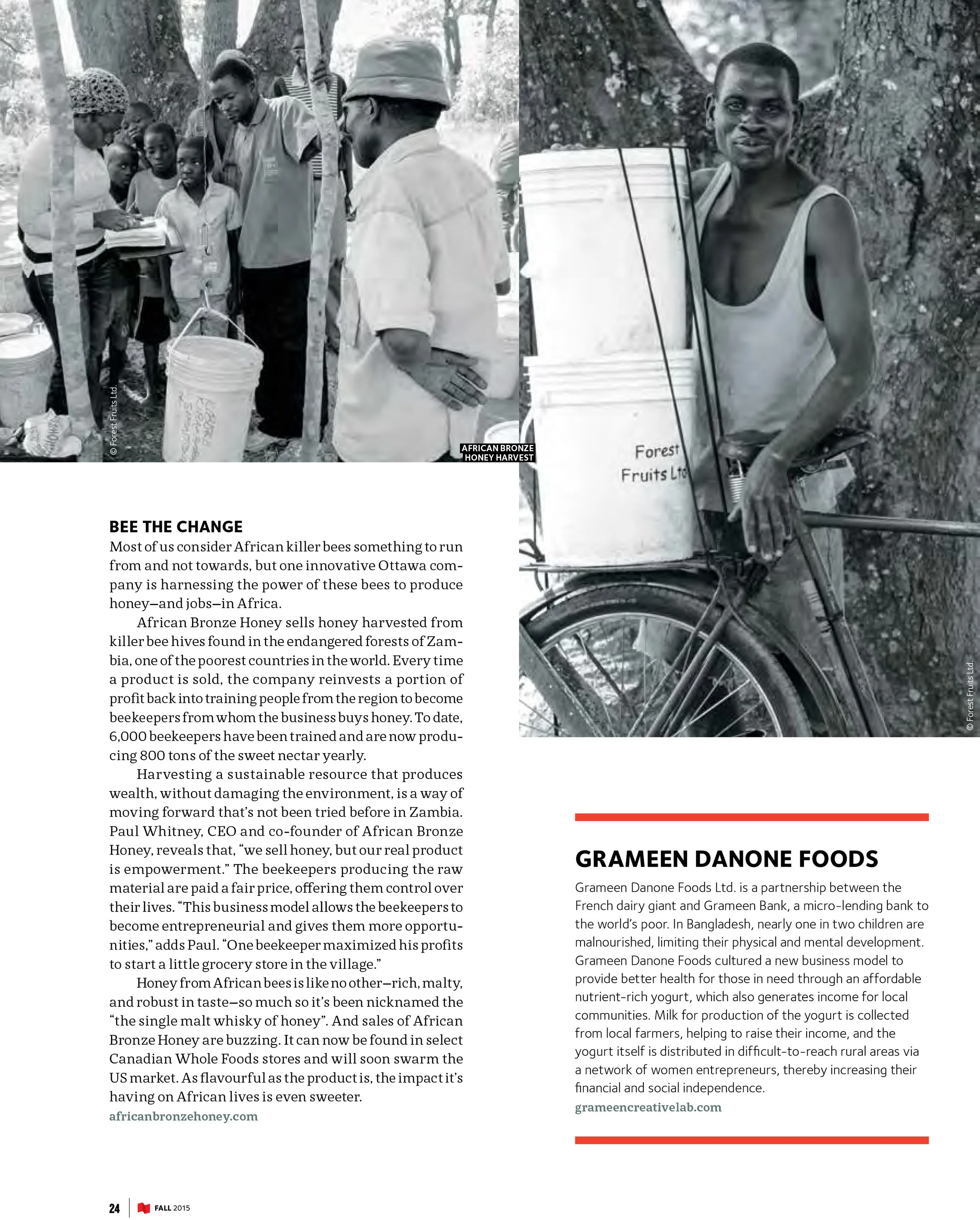 Social Entrepreneurship-ANG-3.jpg