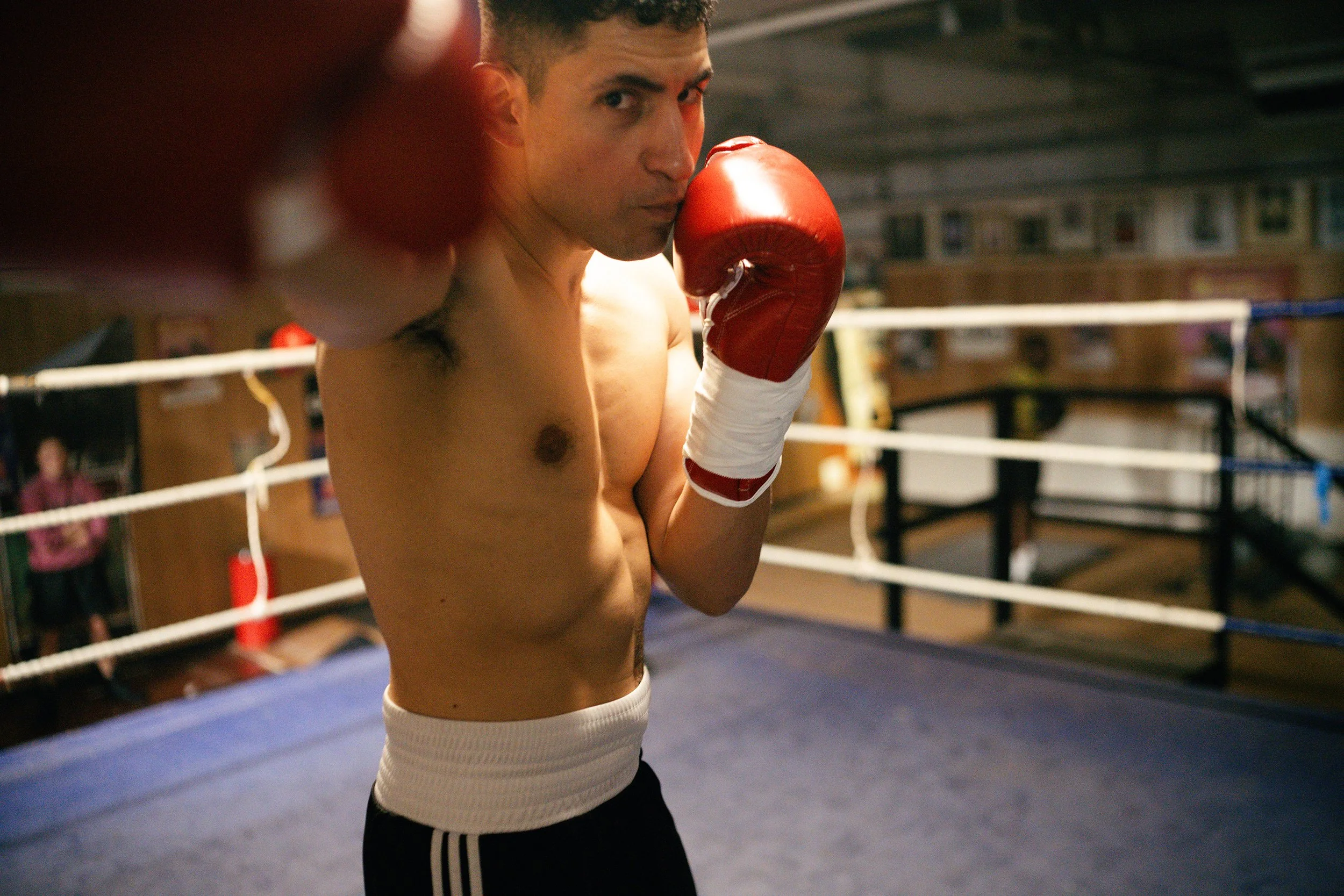 AMIR EL MASRY - GIANT