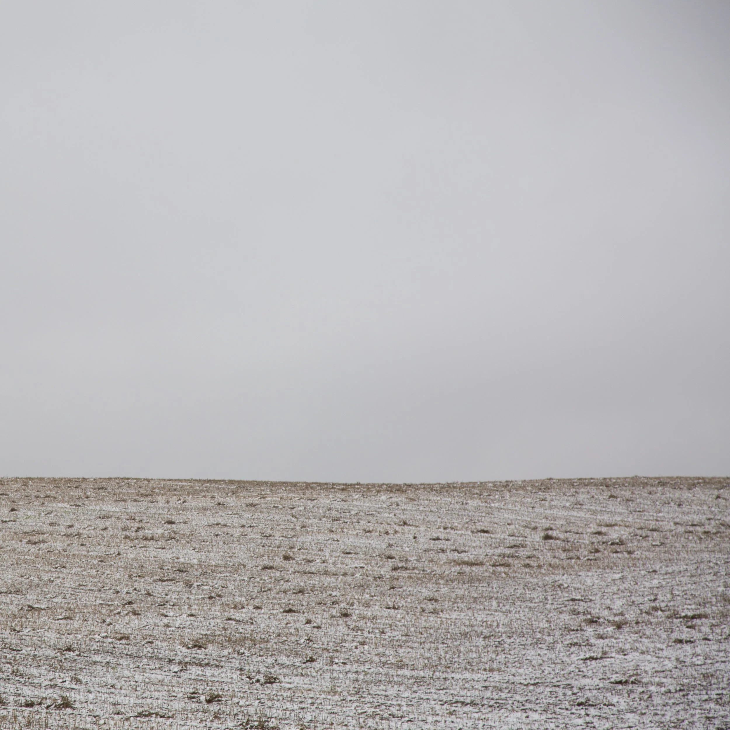 Winter Field #5