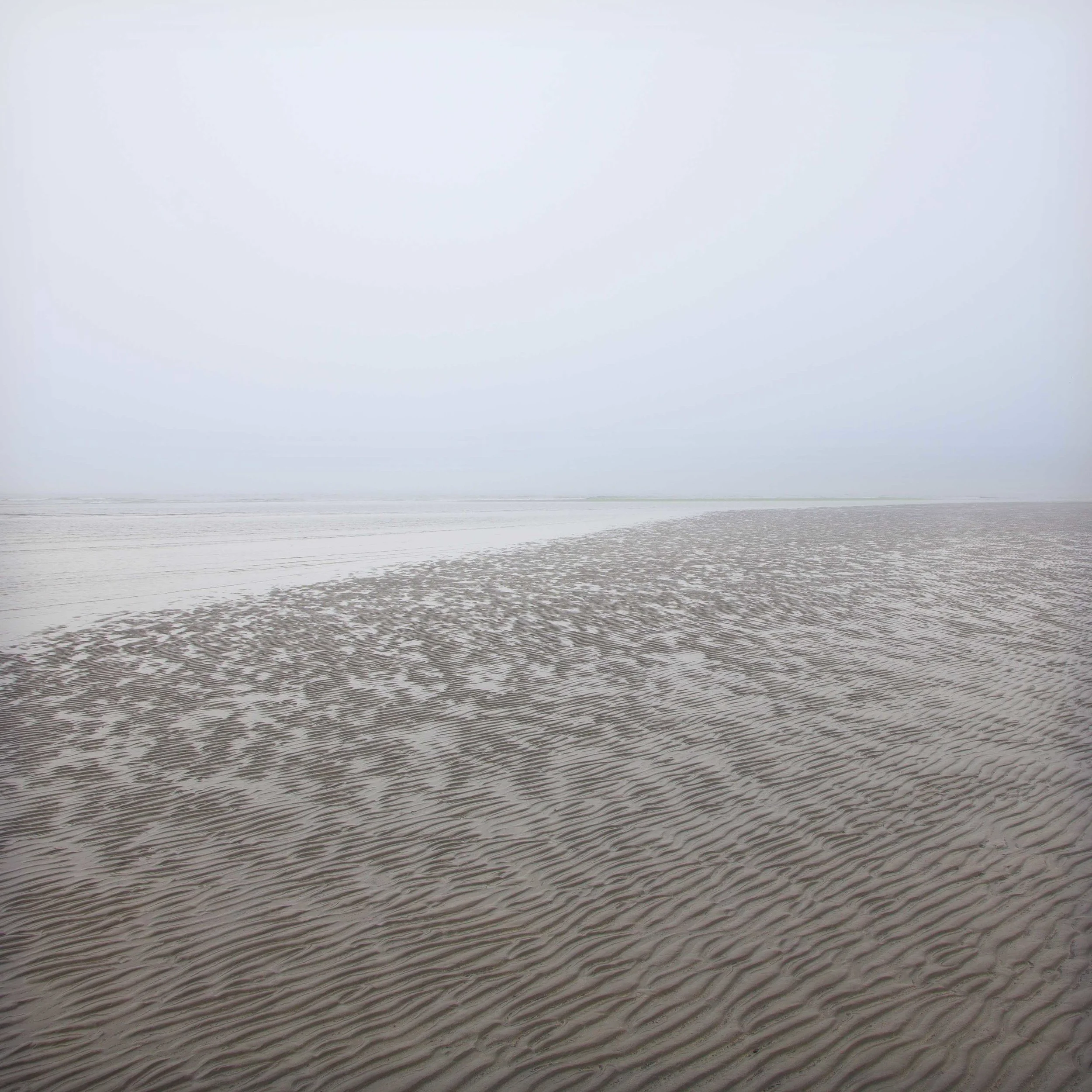 Natural Abstract #10