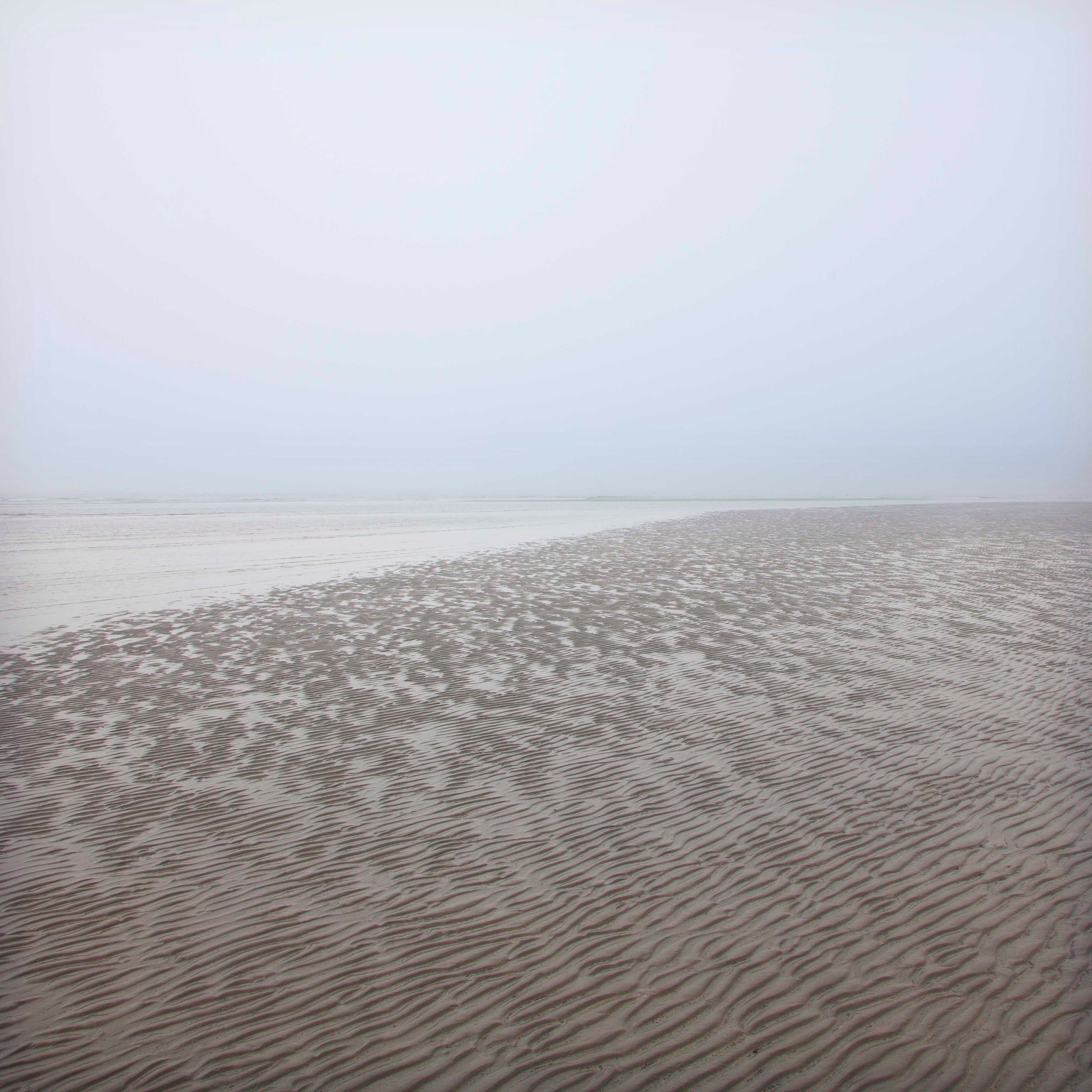 Natural Abstract #10 Printing IMG_8794.jpg
