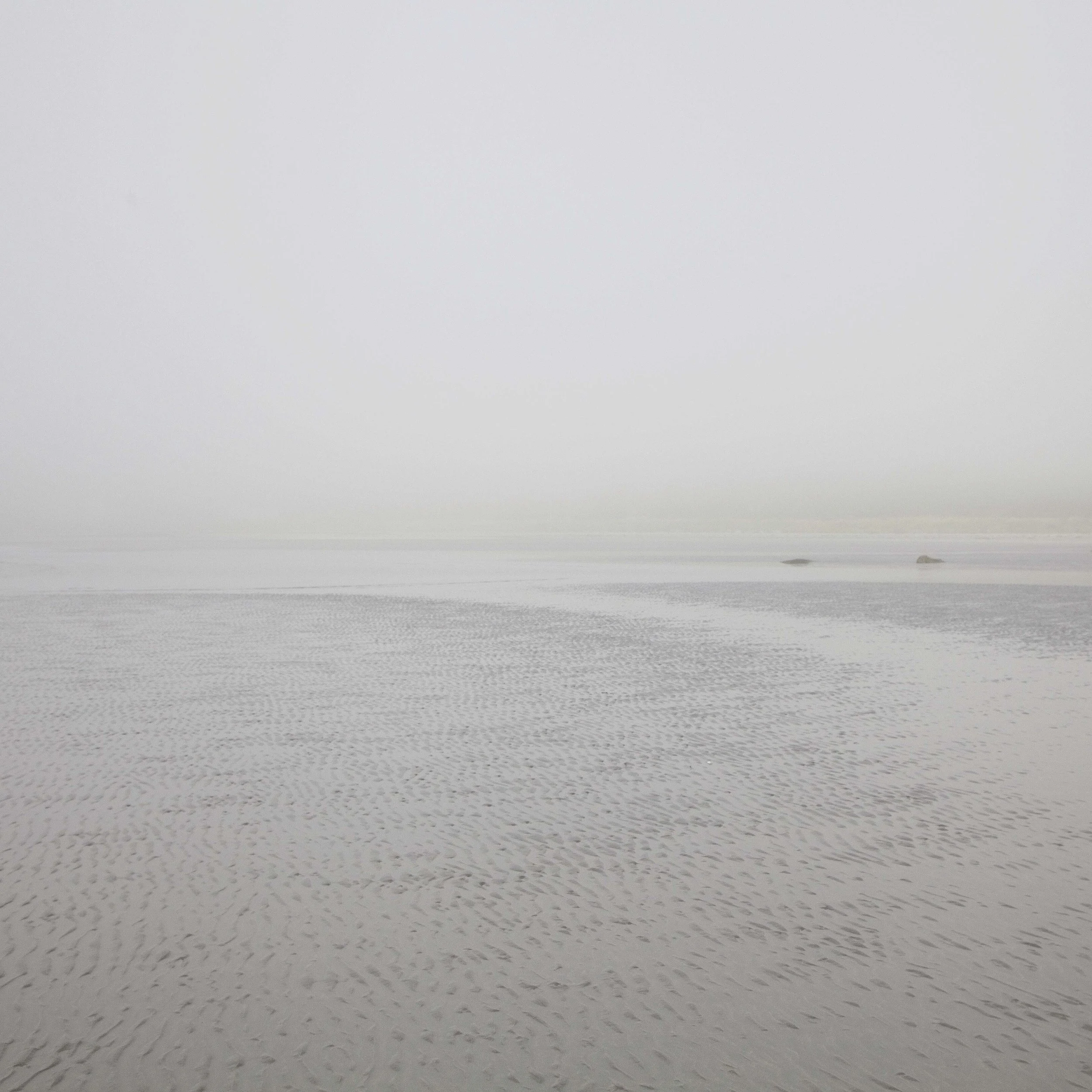 Force 10 IMG_8836.jpg