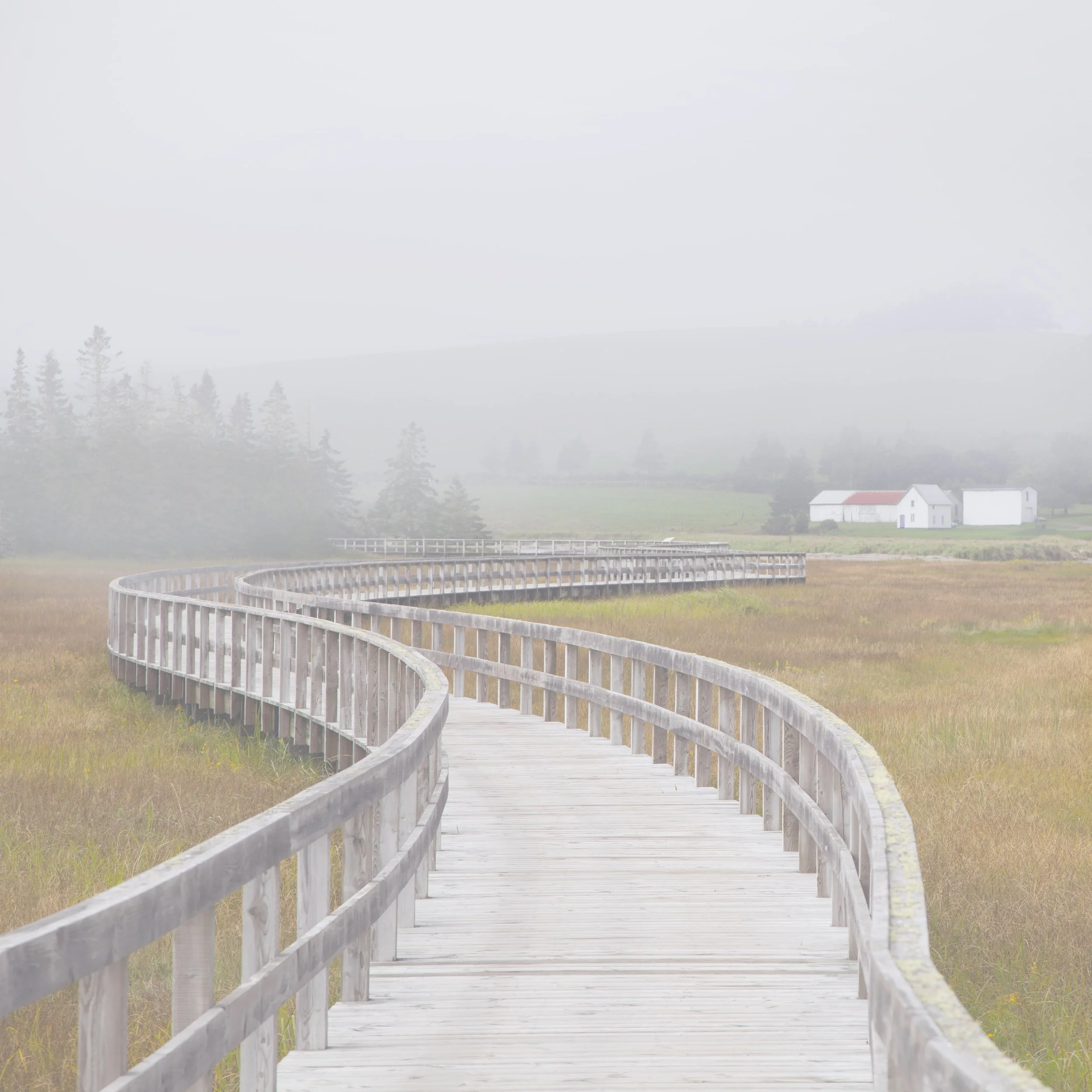 Boardwalk 3B Printing IMG_8961 copy.jpg