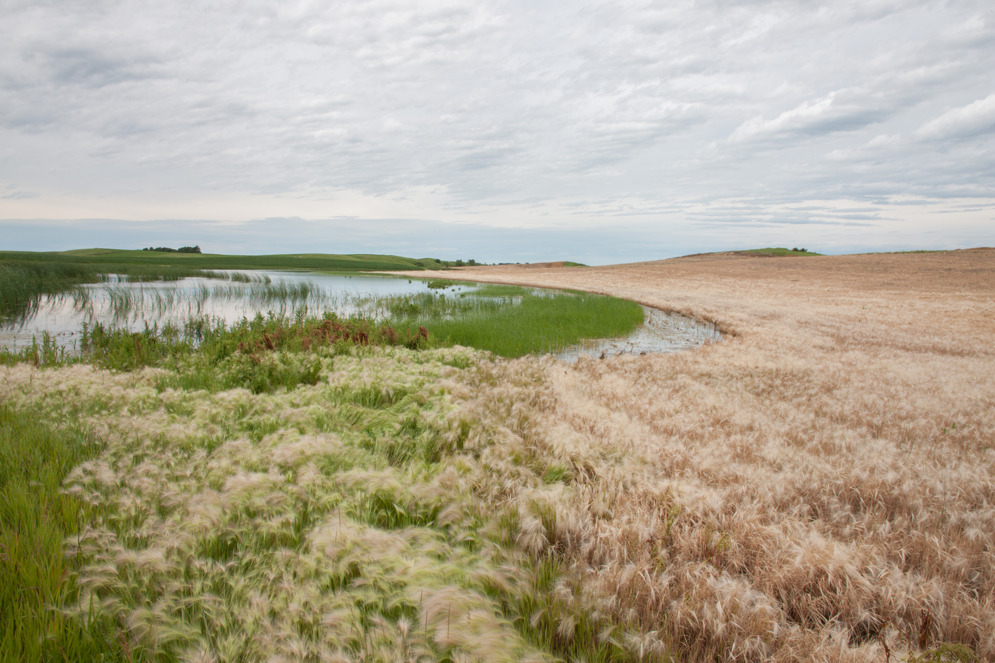 Near Wallace, South Dakota, 2010