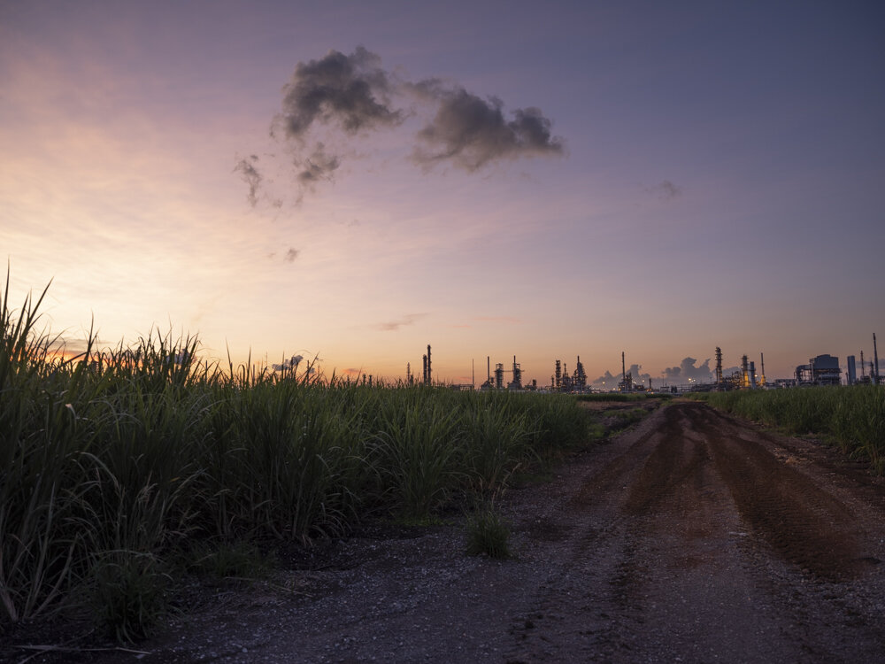 Sugar cane field and Shell Convent oil refinery, Convent, LA 