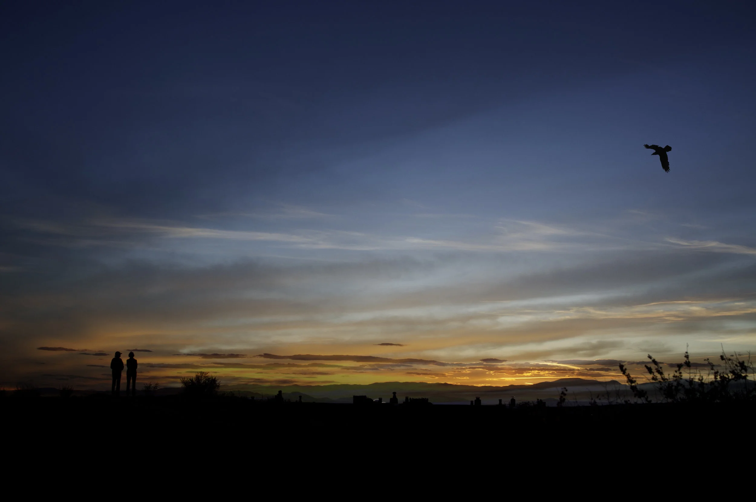 DSC_3372ret2.jpg