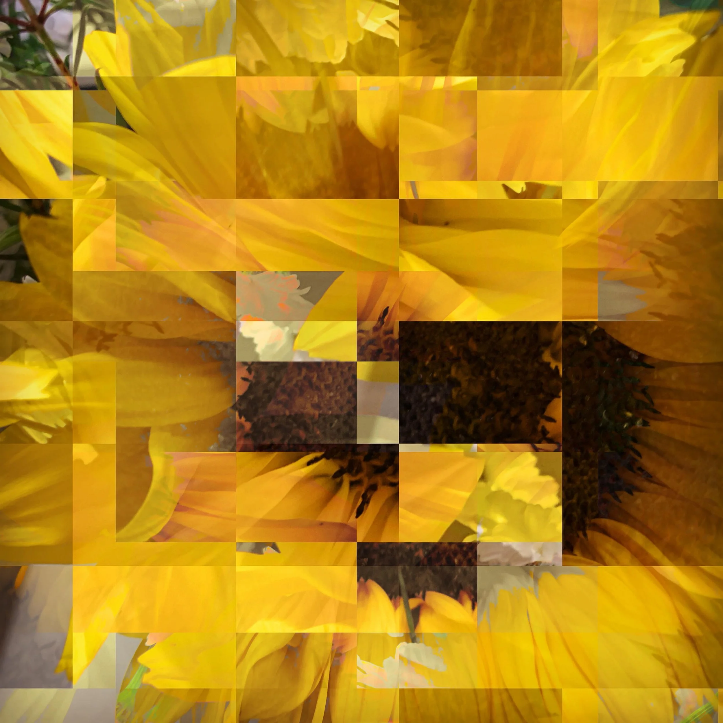 #sunflower #abstract #remix