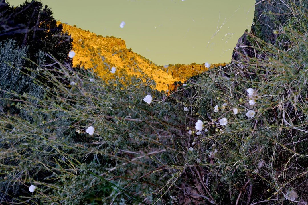 Diablo Canyon with Xuan Hui Ng and SFW.