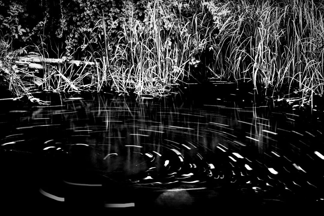 Currents. From last week's &quot;Nature's Embrace&quot; workshop with Xuan Hui Ng and Santa Fe Workshops. It was a great week.