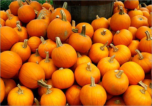 FALL 2016.jpg