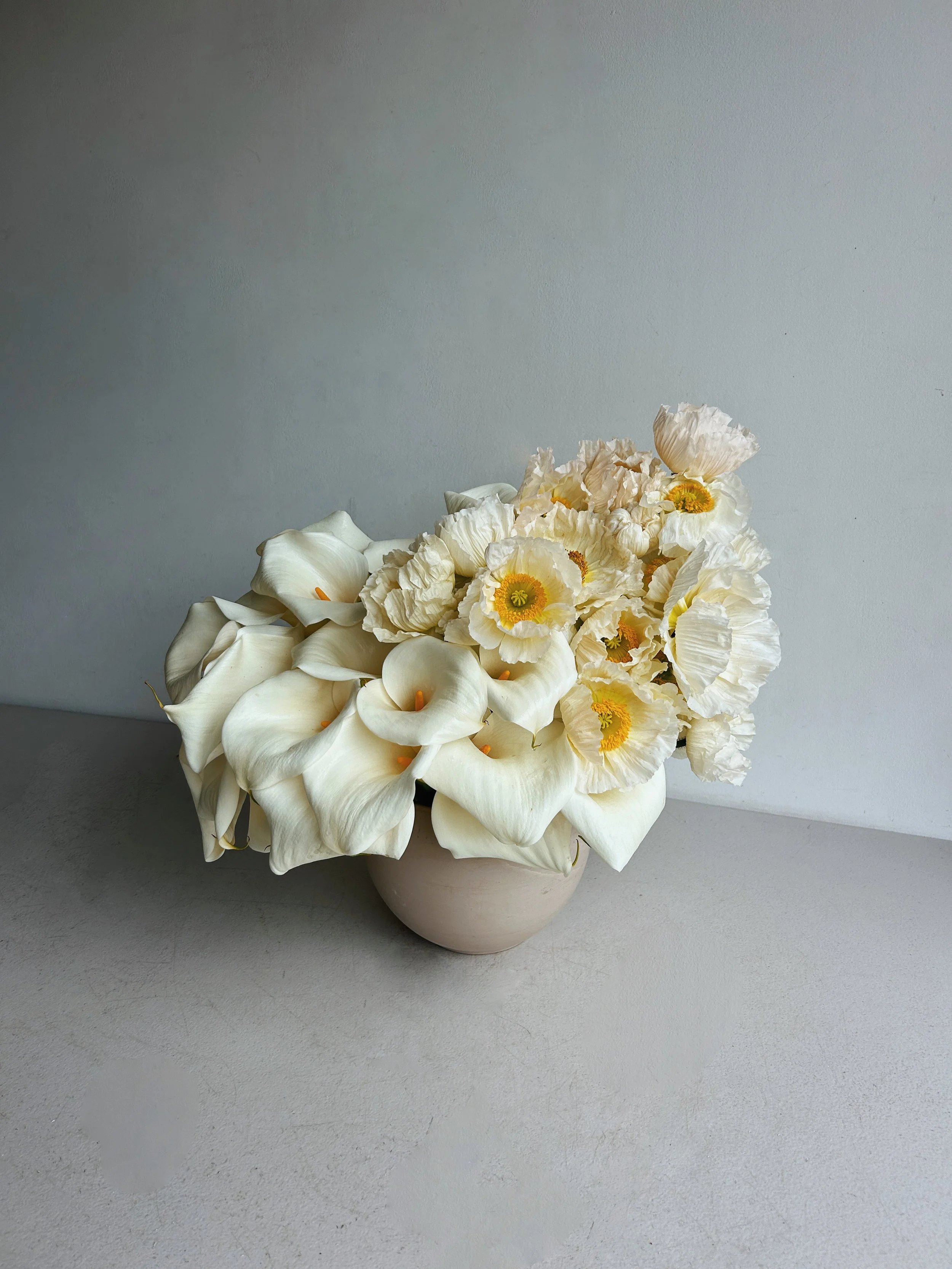 91CDAFDC-146A-4945-BAF2-E8A437DF0FA6_VSCO.JPG