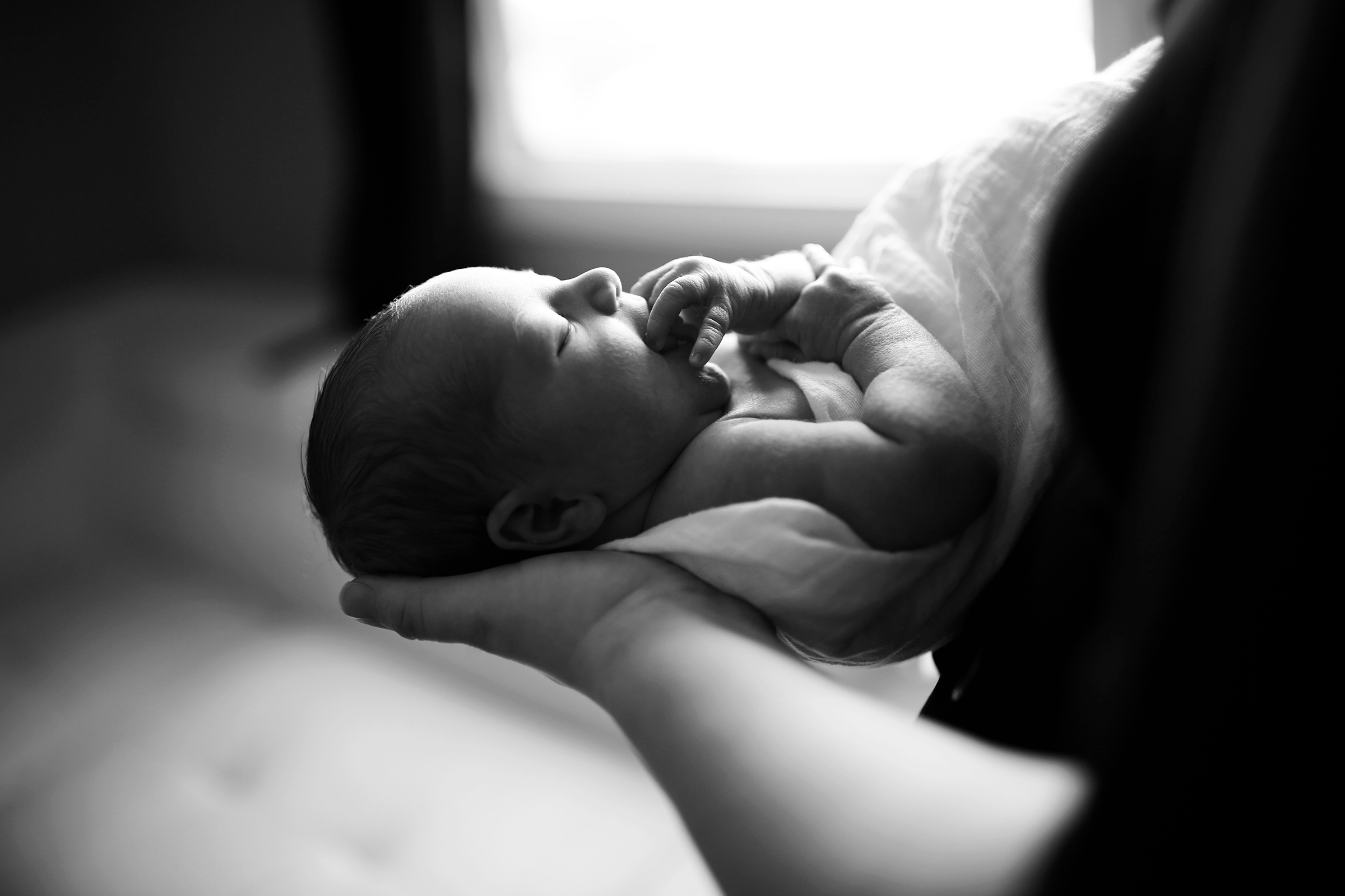 Regina Newborn Photography 