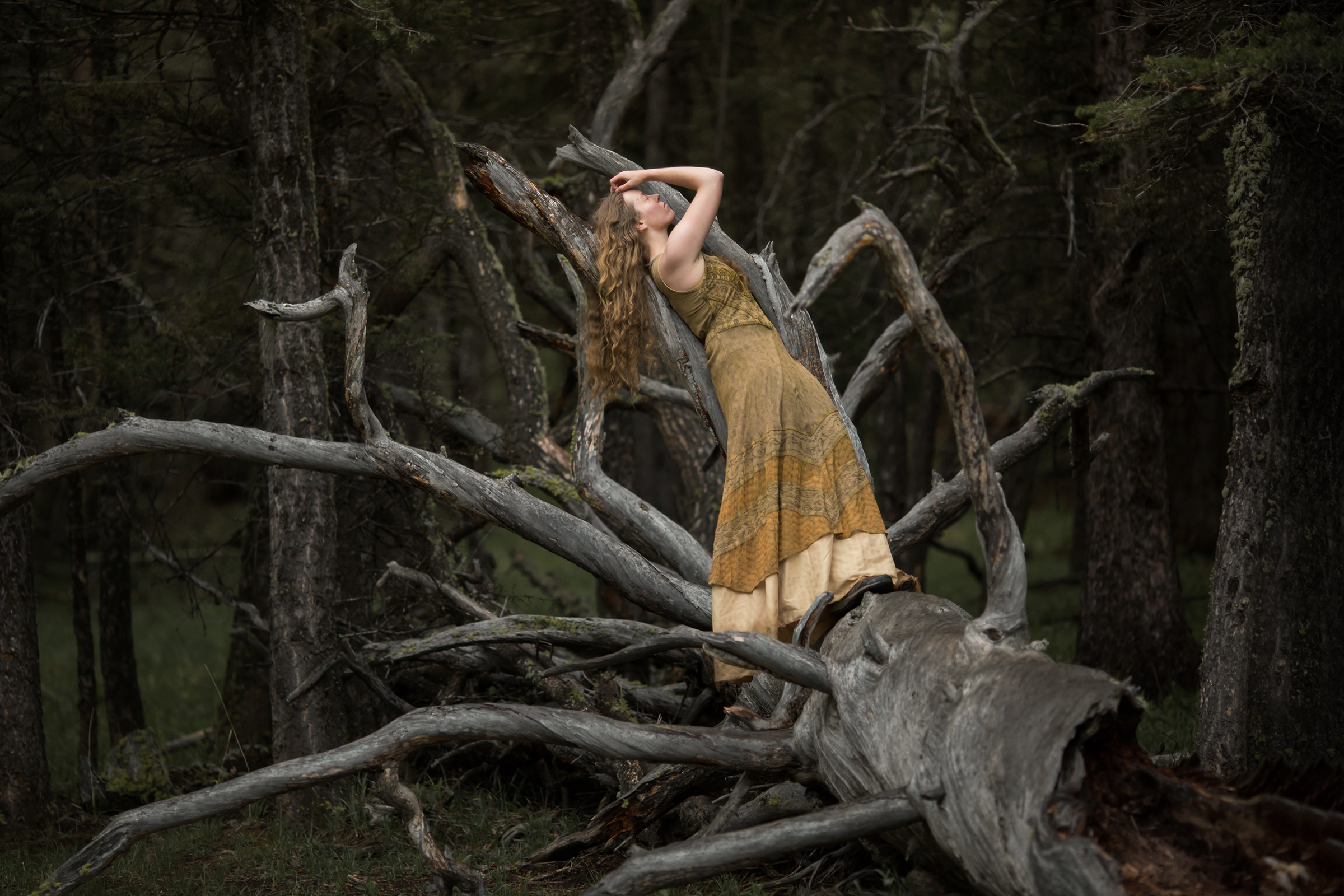ashley soeder photography