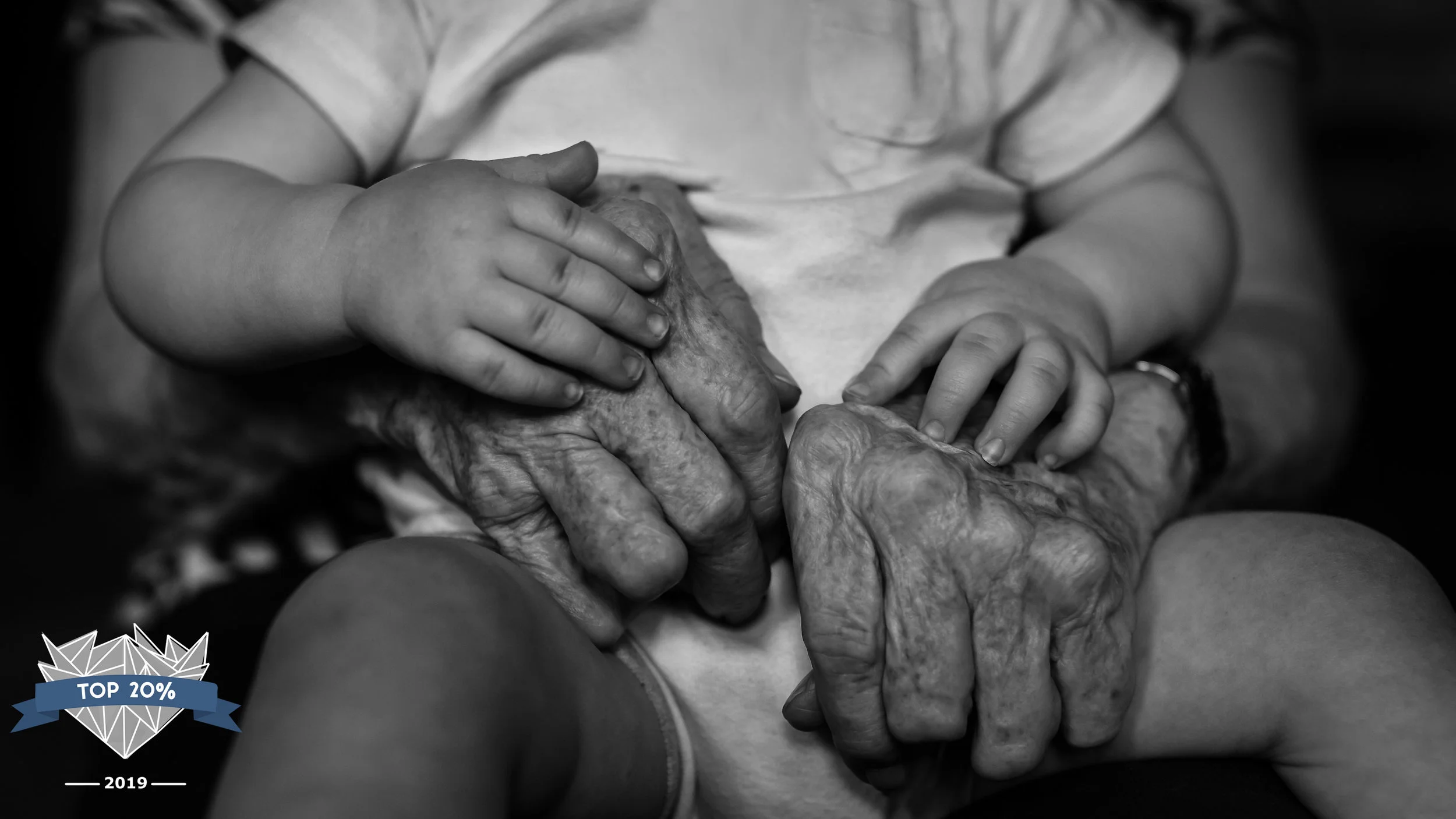 regina family photography