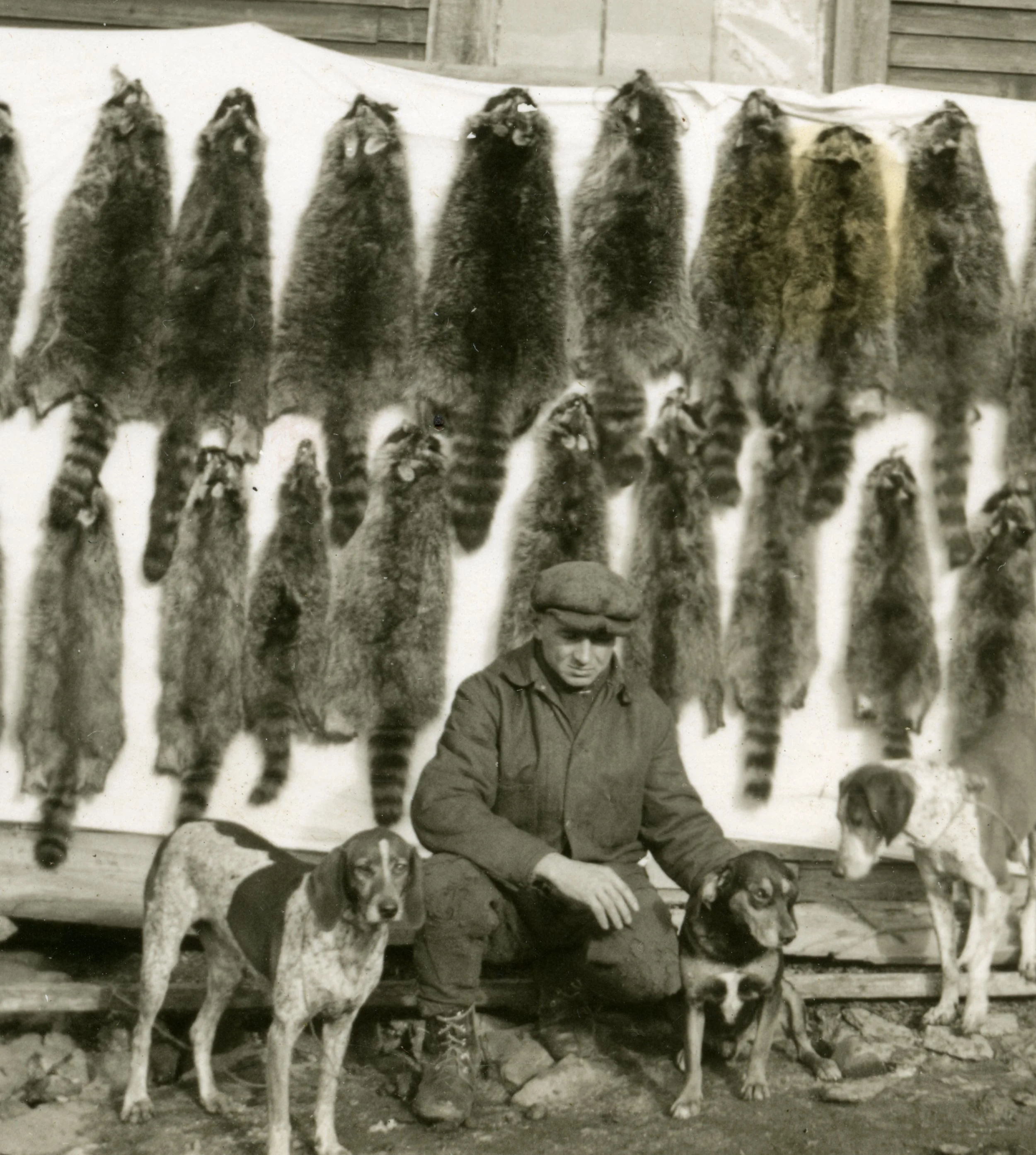 Sy Osmer and his dogs