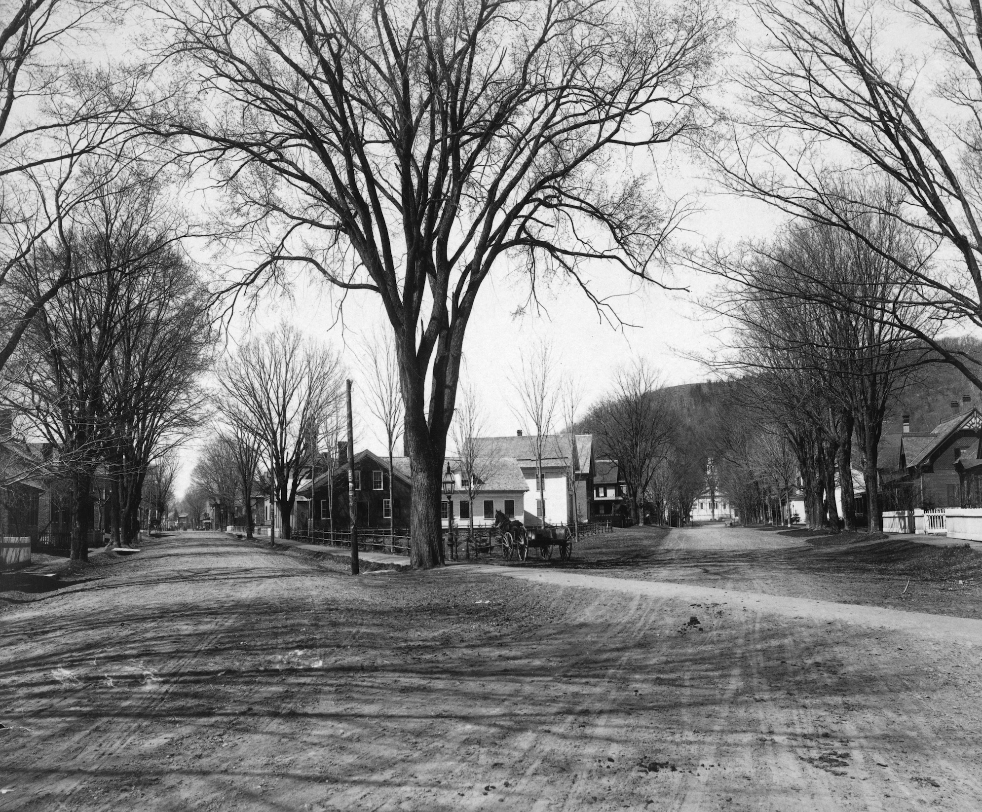 John Blish also helped to set out an elm tree around 1832 at the junction of Central and Pleasant Streets. By the time this photo was taken in the late 1800s, the tree was full grown.
