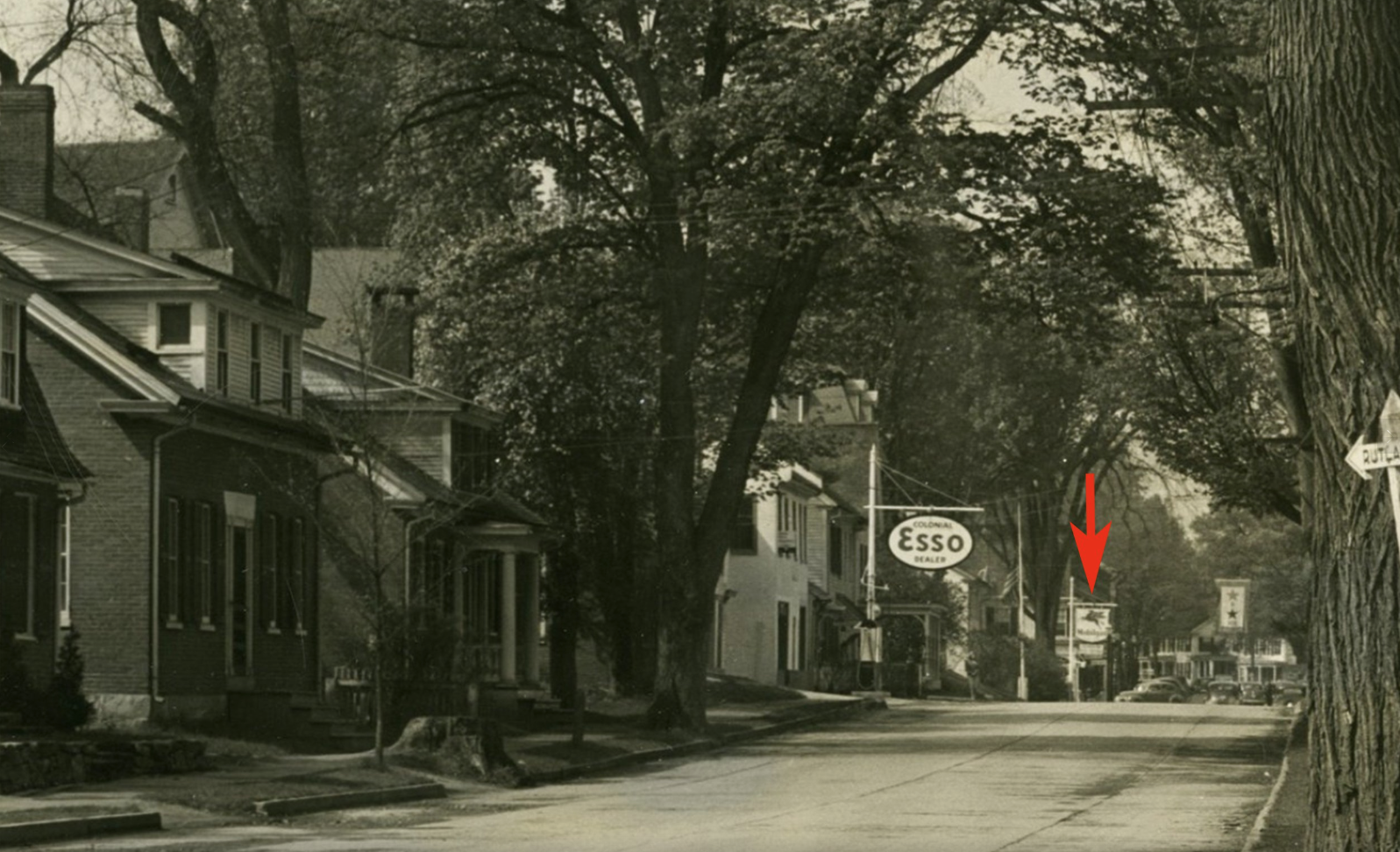 Just down the street from Tribou Park are two gas stations. Let's head down the street, past the Esso station, and go to the Mobilegas station with the Pegasus logo on it.