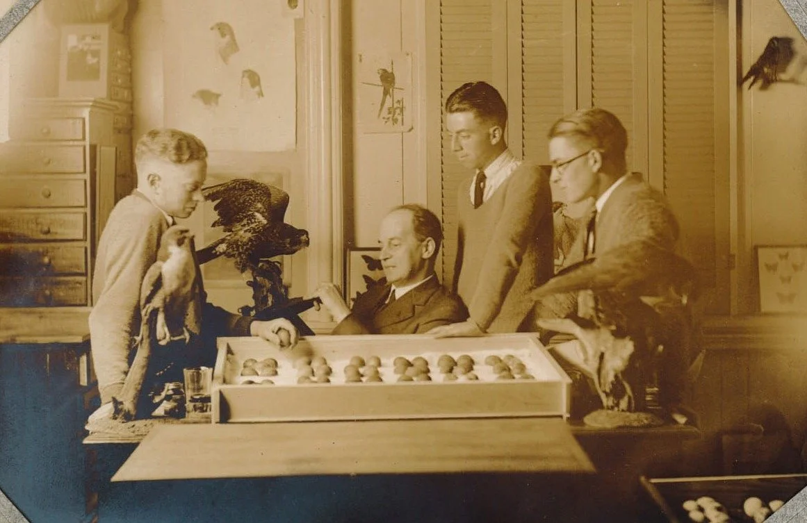 The Falconers: Woodstock's Oology Club