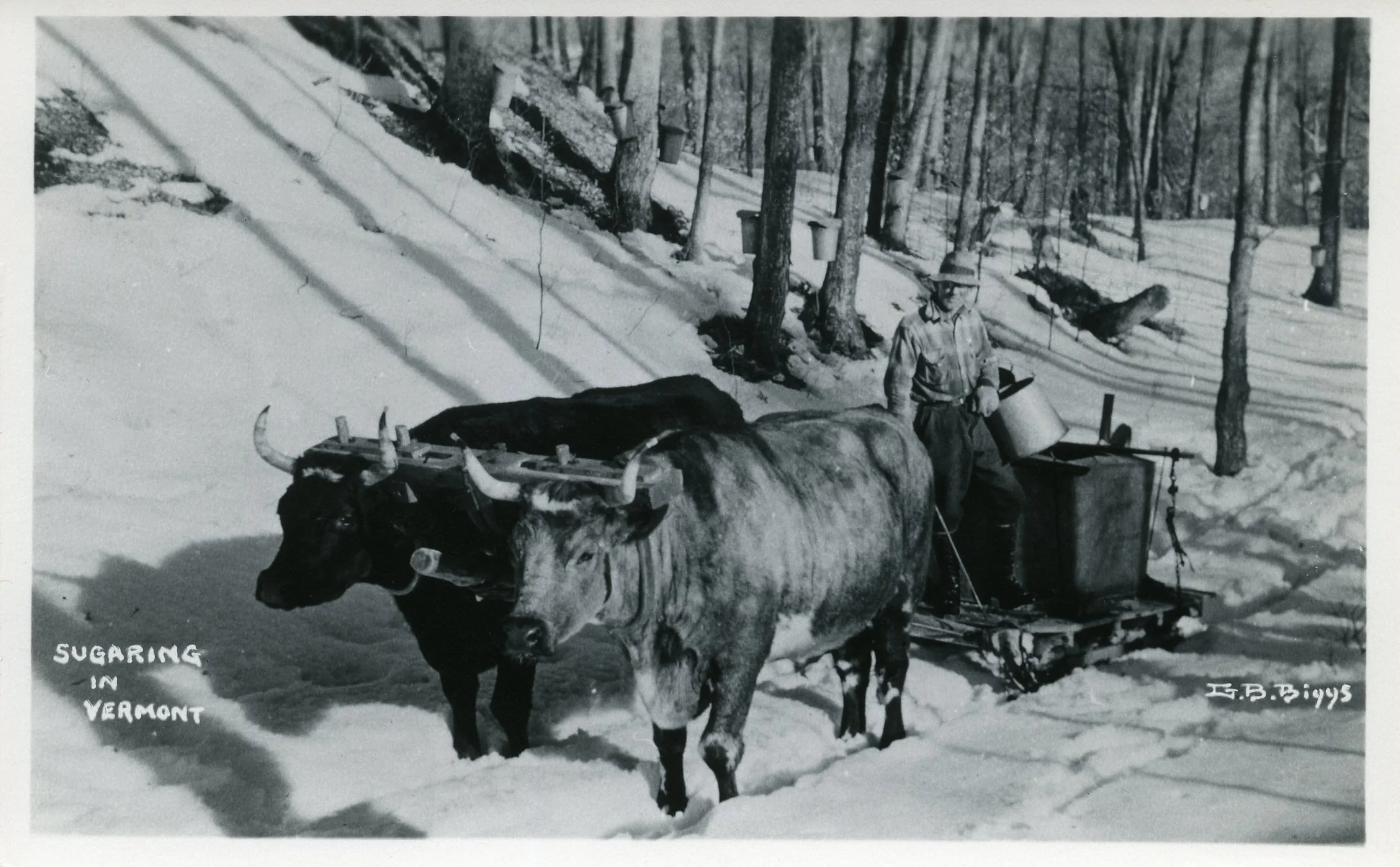 76-49.2--'Sugaring in Vermont'.jpg