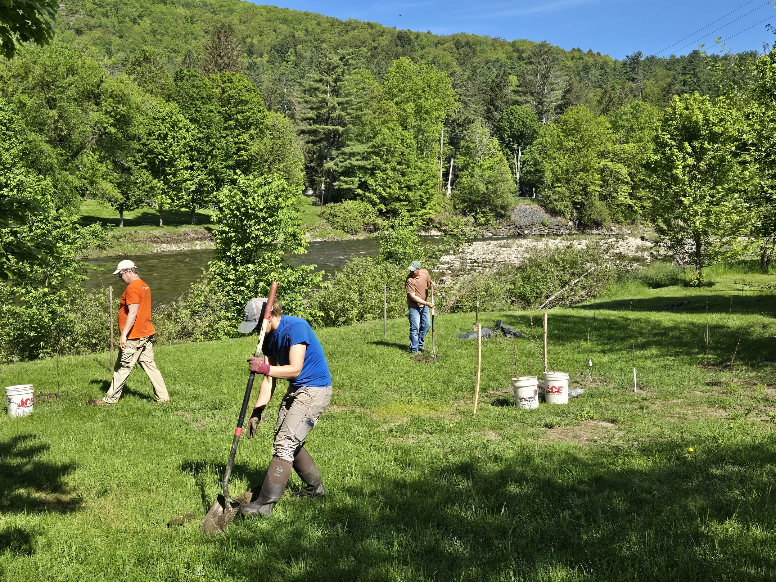 20250528_093754 (1).jpg
