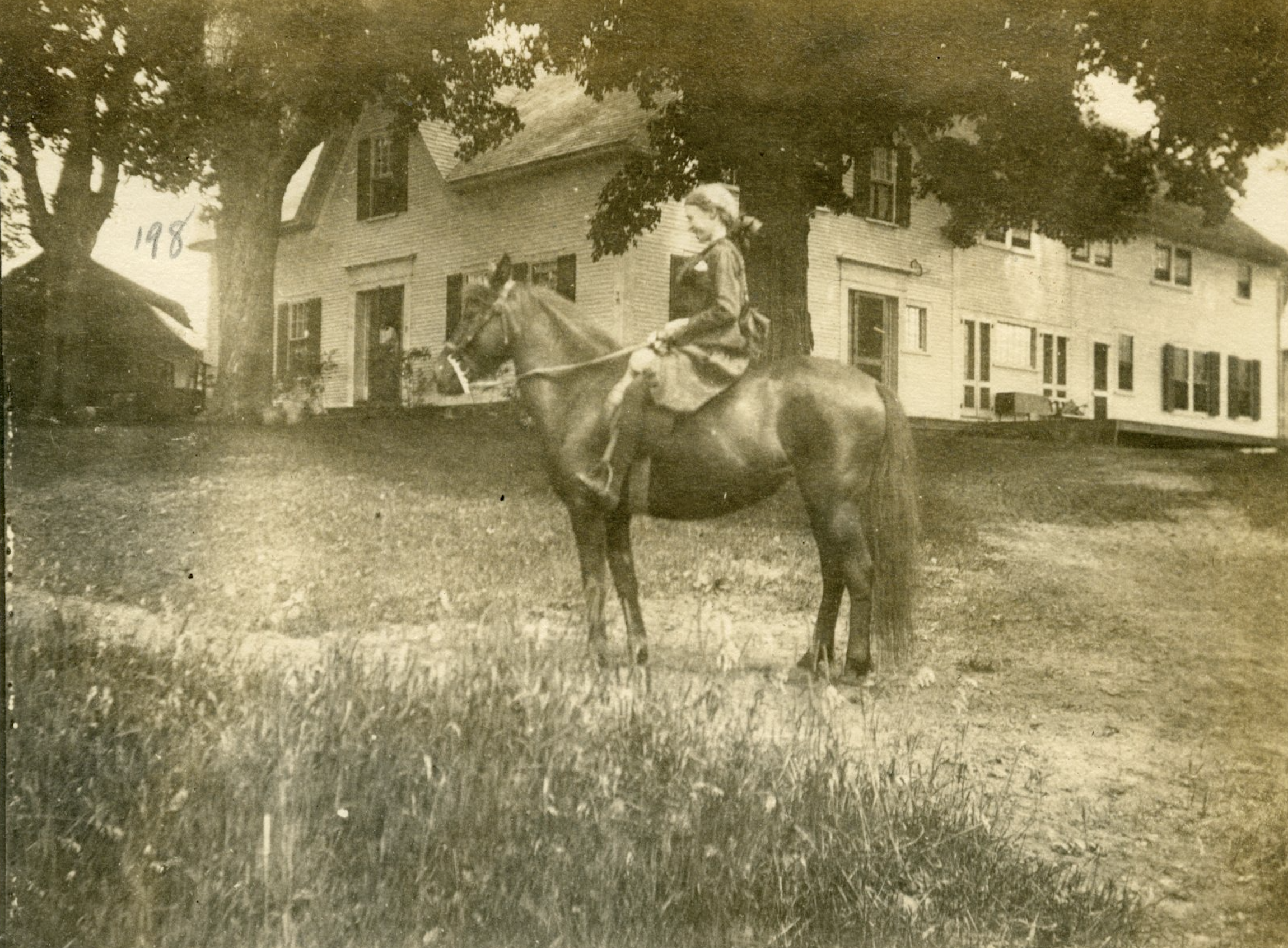 Others show the children with the animals on the farm. In particular, the girls in the family enjoyed horseback riding.